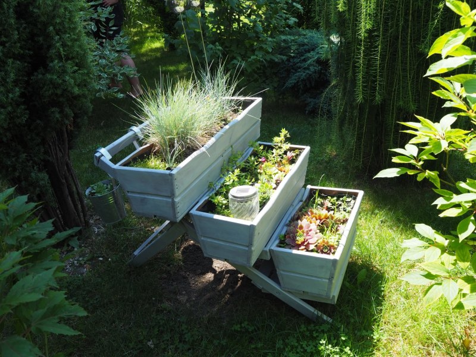 Zdjęcie w galerii na portalu naszraciborz.pl: Zielona rewitalizacja w Raciborzu. Zdjęcia nagrodzonych miejsc wiadomości z regionu