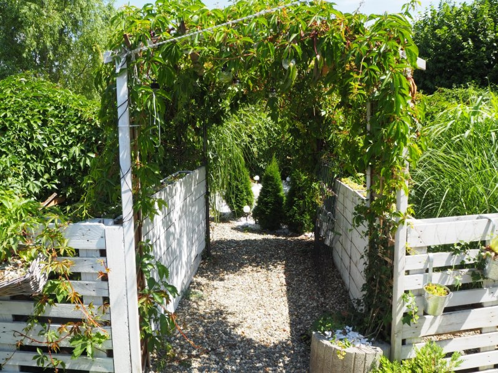 Zdjęcie w galerii na portalu naszraciborz.pl: Zielona rewitalizacja w Raciborzu. Zdjęcia nagrodzonych miejsc wiadomości z regionu