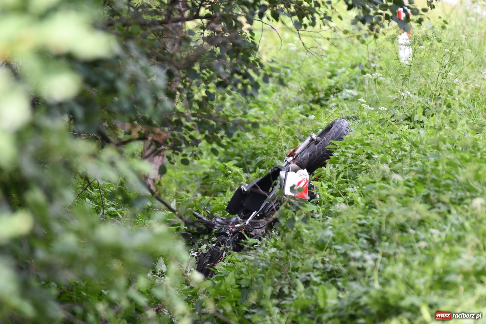 Zdjęcie w galerii na portalu naszraciborz.pl: Ustalenia policji w sprawie tragicznego wypadku na trasie Racibórz-Babice wiadomości z regionu