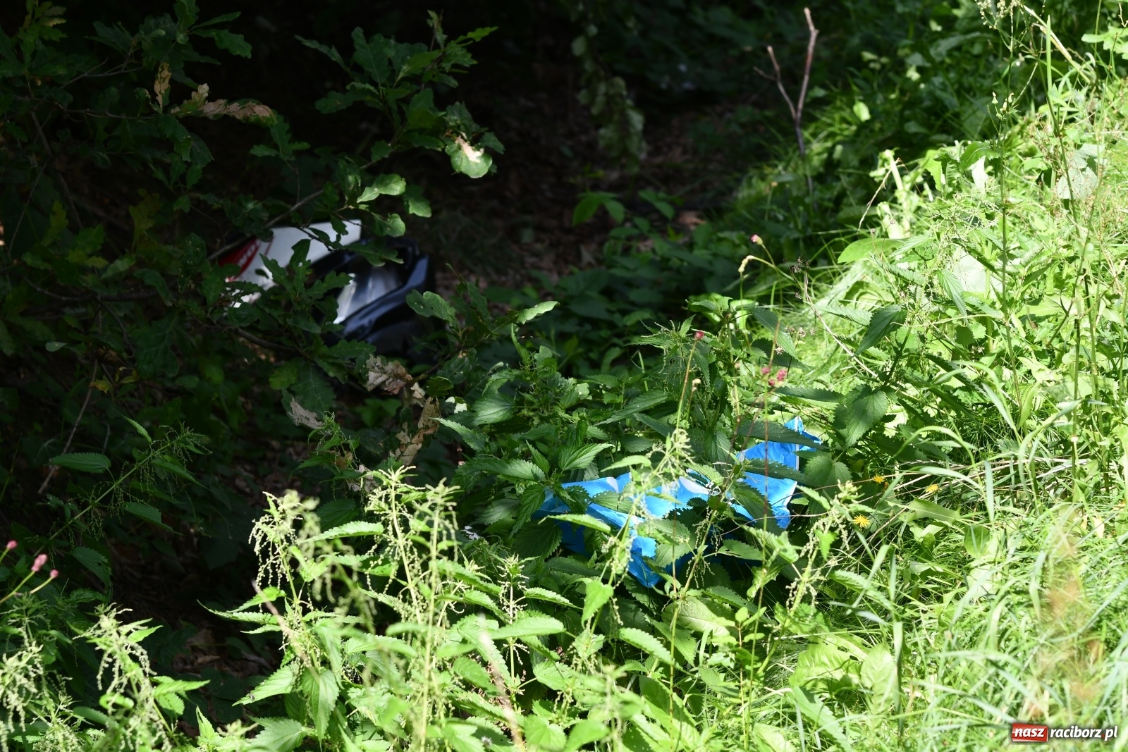 Zdjęcie w galerii na portalu naszraciborz.pl: Ustalenia policji w sprawie tragicznego wypadku na trasie Racibórz-Babice wiadomości z regionu