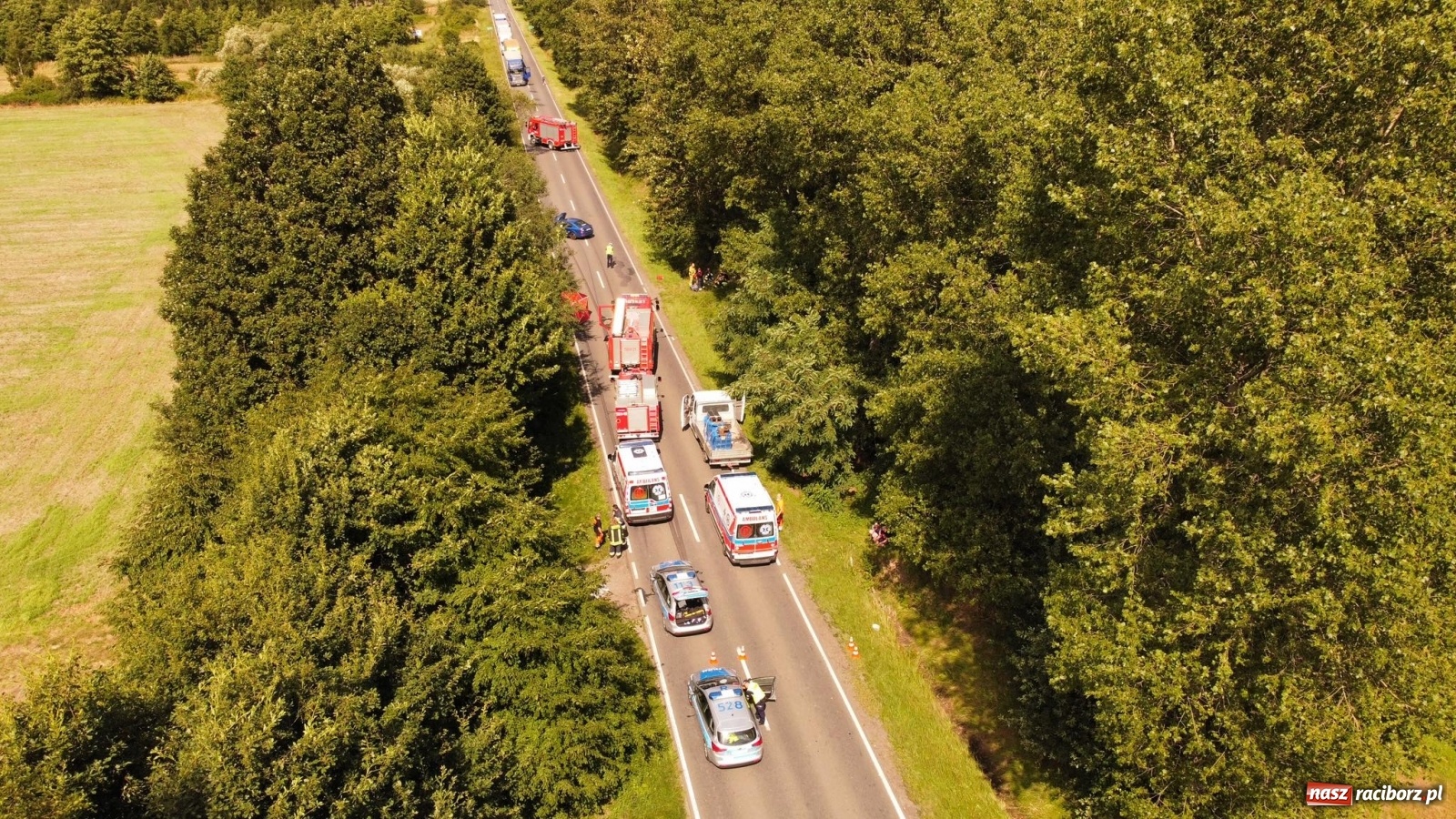 Zdjęcie w galerii na portalu naszraciborz.pl: Ustalenia policji w sprawie tragicznego wypadku na trasie Racibórz-Babice wiadomości z regionu