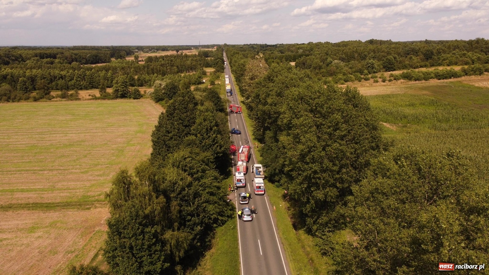Zdjęcie w galerii na portalu naszraciborz.pl: Ustalenia policji w sprawie tragicznego wypadku na trasie Racibórz-Babice wiadomości z regionu