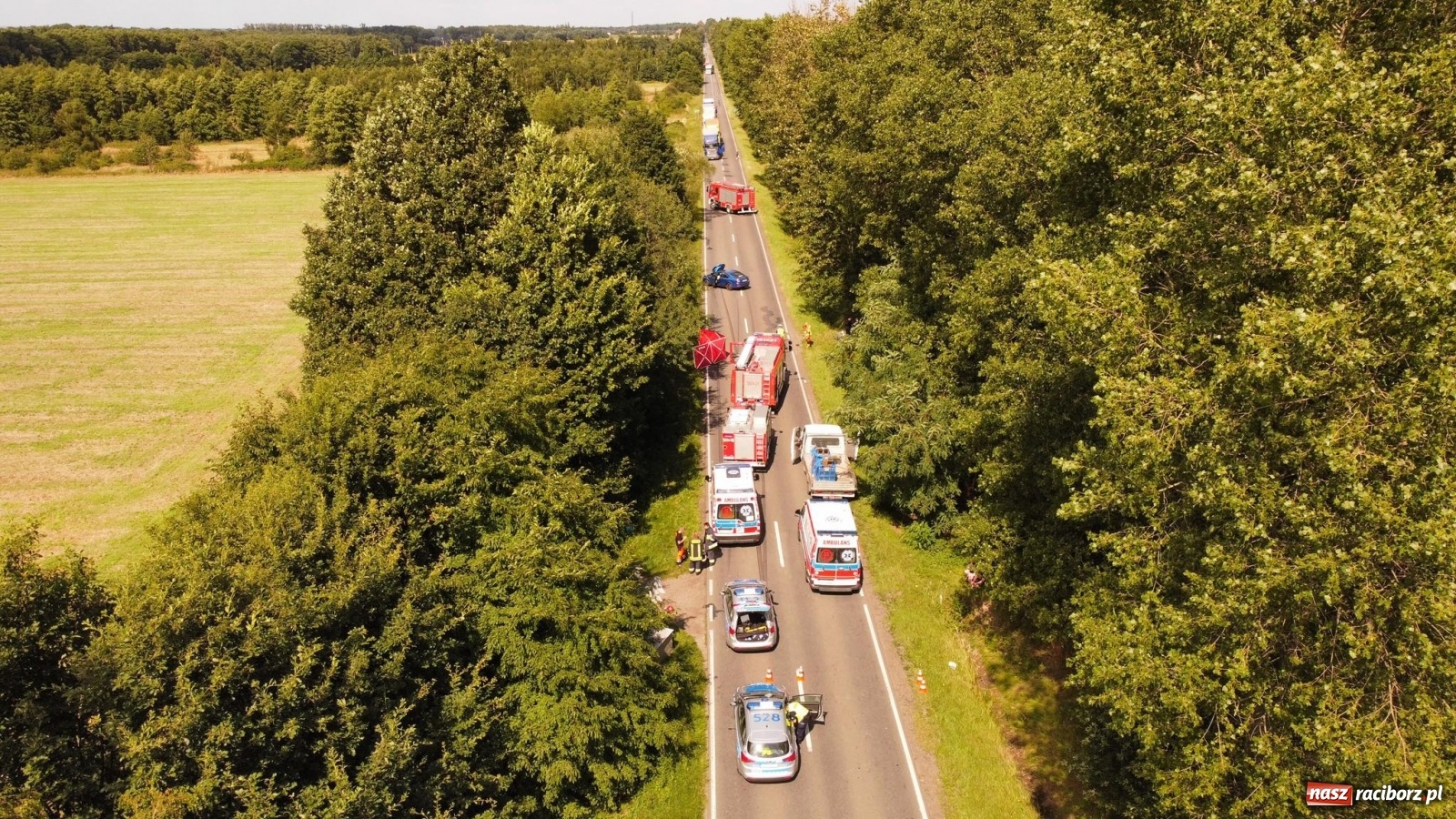 Zdjęcie w galerii na portalu naszraciborz.pl: Ustalenia policji w sprawie tragicznego wypadku na trasie Racibórz-Babice wiadomości z regionu