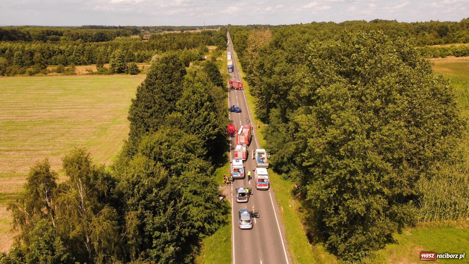 Zdjęcie w galerii na portalu naszraciborz.pl: Ustalenia policji w sprawie tragicznego wypadku na trasie Racibórz-Babice wiadomości z regionu