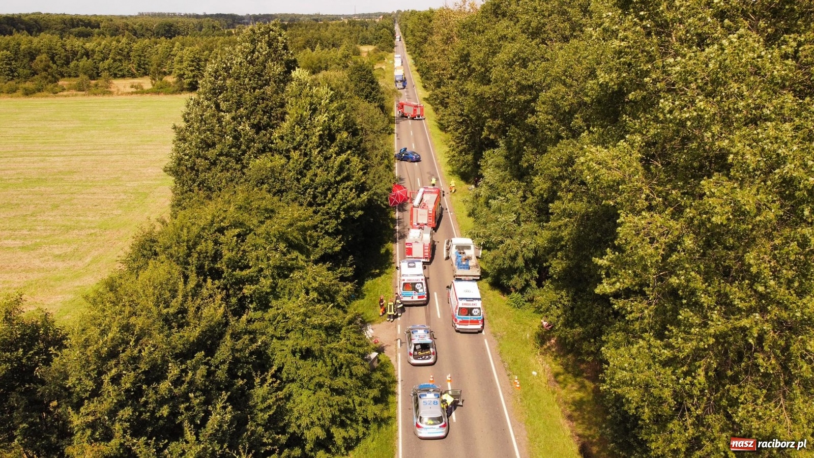 Zdjęcie w galerii na portalu naszraciborz.pl: Ustalenia policji w sprawie tragicznego wypadku na trasie Racibórz-Babice wiadomości z regionu