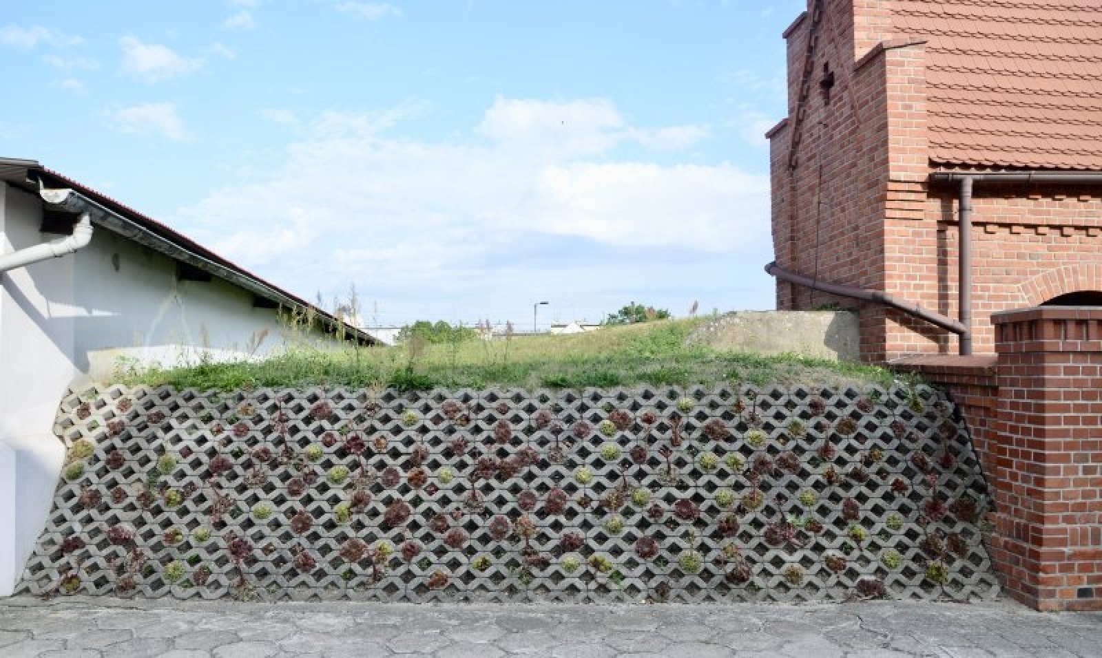 Zdjęcie w galerii na portalu naszraciborz.pl: Zielono mi. Wybrano najlepsze ogrody przy miejscu pracy wiadomości z regionu