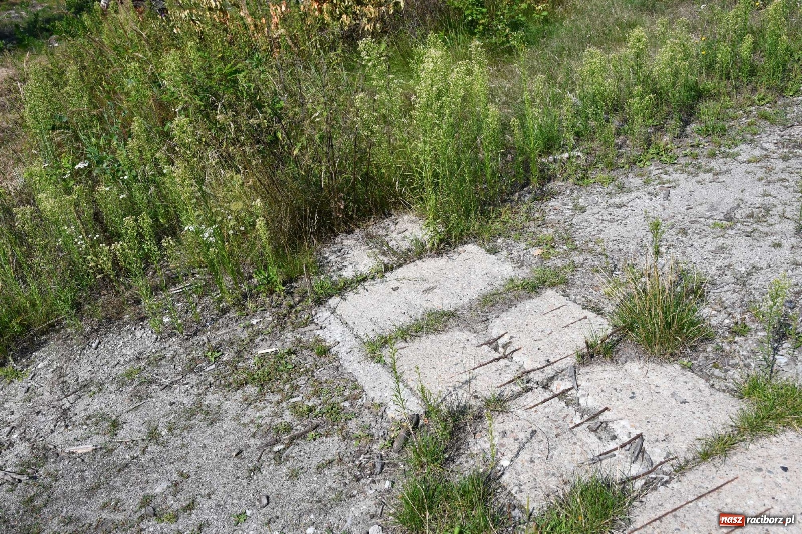 Zdjęcie w galerii na portalu naszraciborz.pl: Tajemnice zimnej wojny. Baza rakietowa w Kuźni Raciborskiej [FOTO i WIDEO] wiadomości z regionu