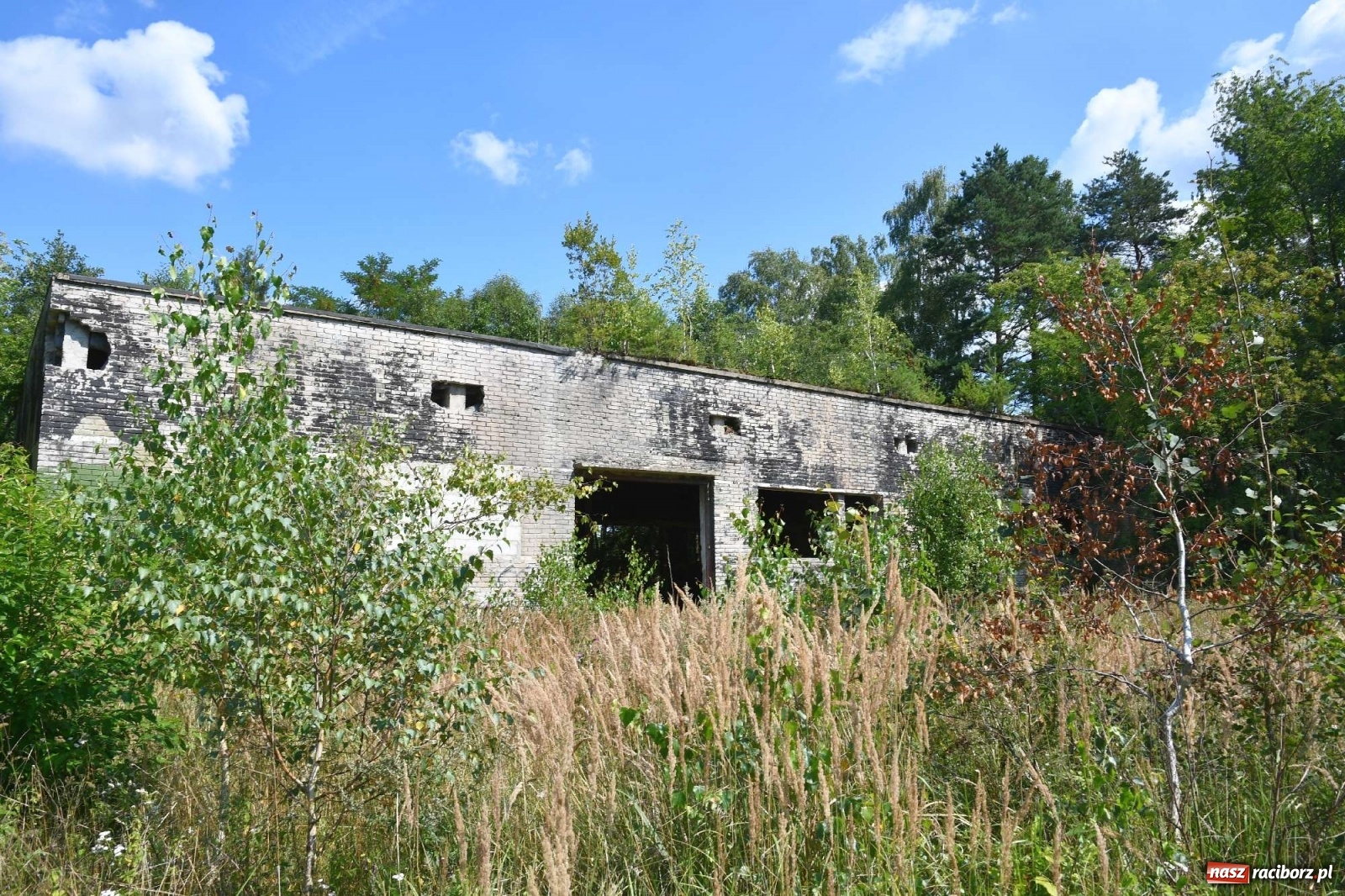 Zdjęcie w galerii na portalu naszraciborz.pl: Tajemnice zimnej wojny. Baza rakietowa w Kuźni Raciborskiej [FOTO i WIDEO] wiadomości z regionu