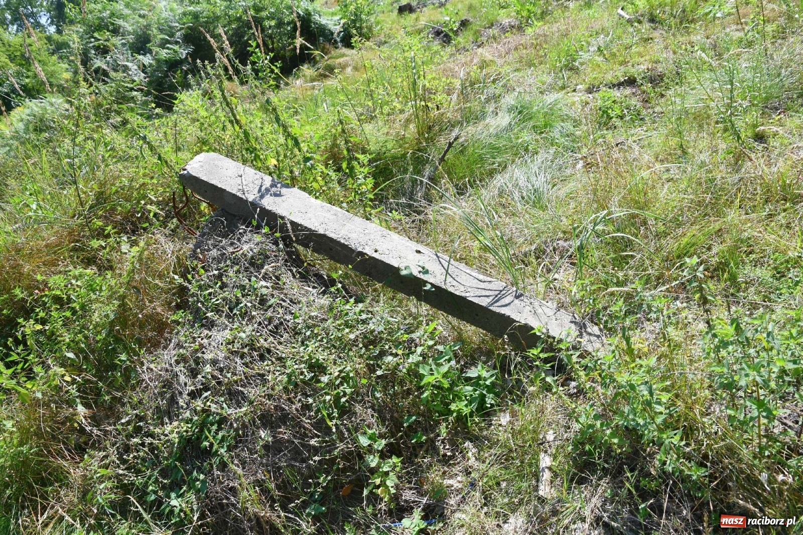 Zdjęcie w galerii na portalu naszraciborz.pl: Tajemnice zimnej wojny. Baza rakietowa w Kuźni Raciborskiej [FOTO i WIDEO] wiadomości z regionu