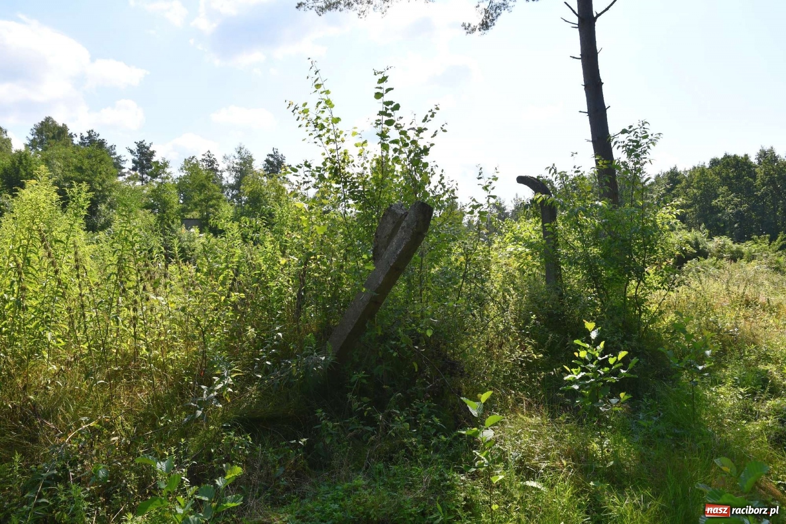Zdjęcie w galerii na portalu naszraciborz.pl: Tajemnice zimnej wojny. Baza rakietowa w Kuźni Raciborskiej [FOTO i WIDEO] wiadomości z regionu
