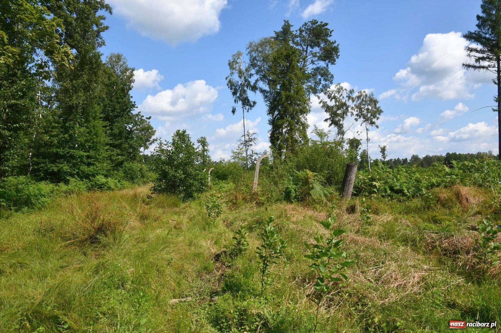 Zdjęcie w galerii na portalu naszraciborz.pl: Tajemnice zimnej wojny. Baza rakietowa w Kuźni Raciborskiej [FOTO i WIDEO] wiadomości z regionu
