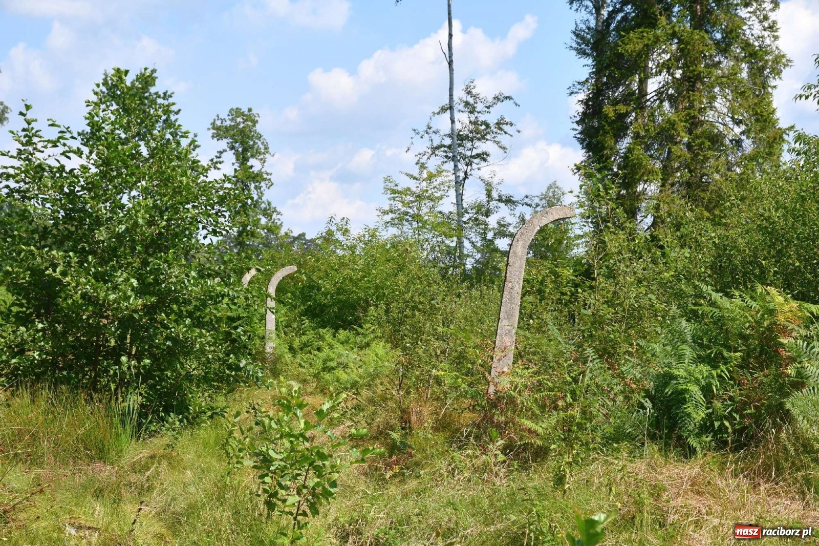 Zdjęcie w galerii na portalu naszraciborz.pl: Tajemnice zimnej wojny. Baza rakietowa w Kuźni Raciborskiej [FOTO i WIDEO] wiadomości z regionu