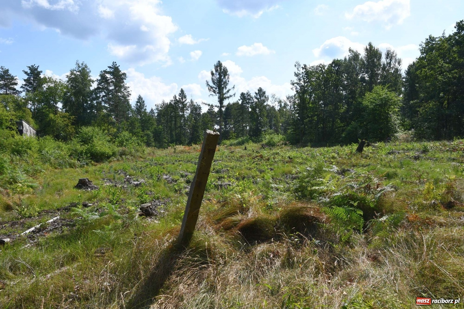 Zdjęcie w galerii na portalu naszraciborz.pl: Tajemnice zimnej wojny. Baza rakietowa w Kuźni Raciborskiej [FOTO i WIDEO] wiadomości z regionu