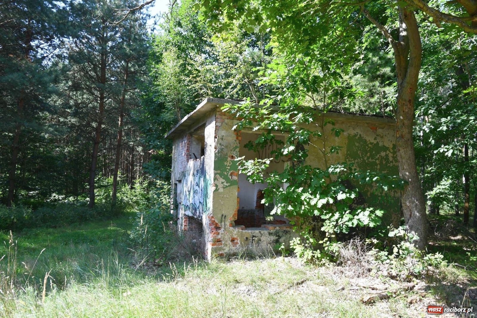 Zdjęcie w galerii na portalu naszraciborz.pl: Tajemnice zimnej wojny. Baza rakietowa w Kuźni Raciborskiej [FOTO i WIDEO] wiadomości z regionu