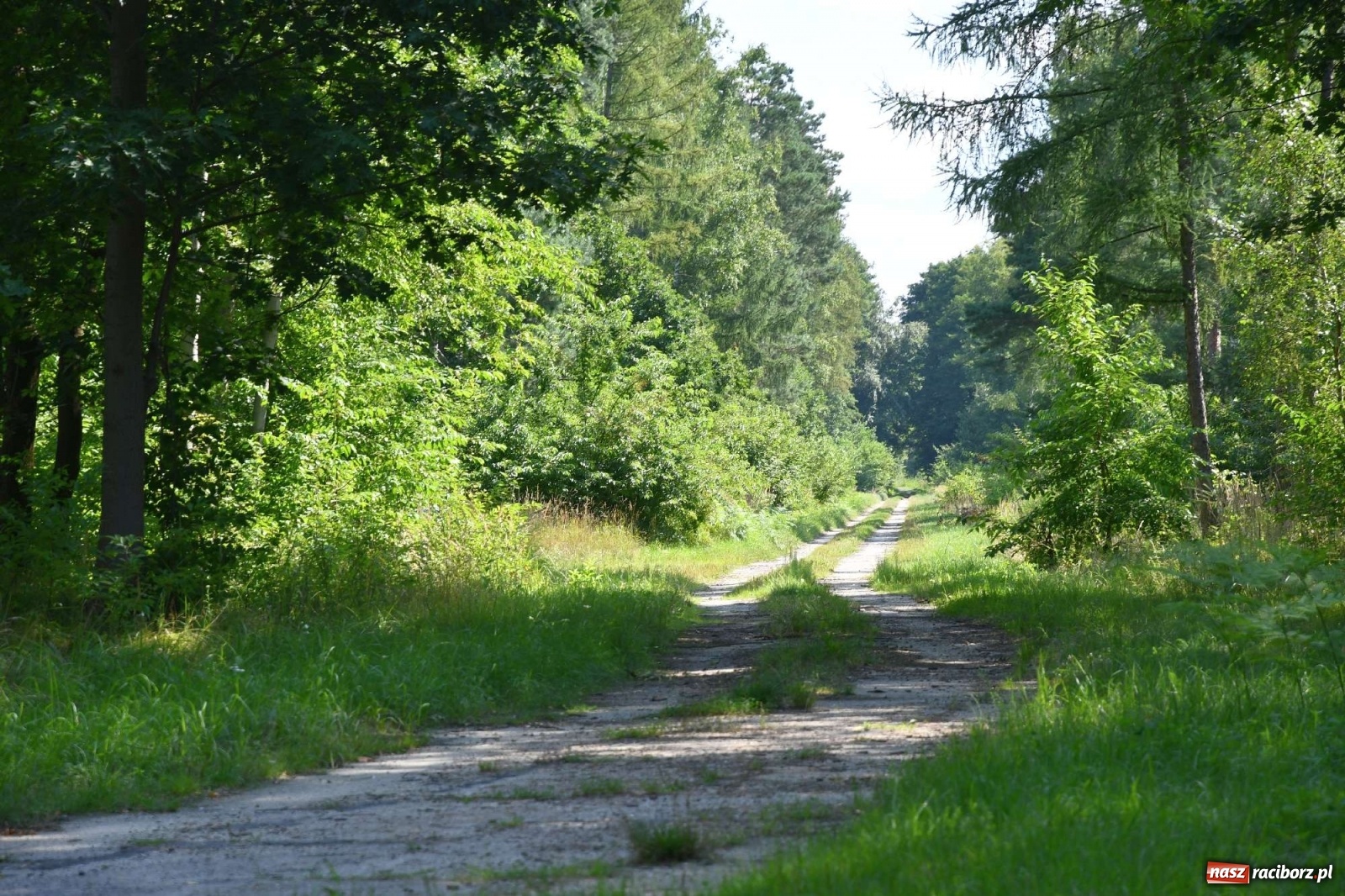 Zdjęcie w galerii na portalu naszraciborz.pl: Tajemnice zimnej wojny. Baza rakietowa w Kuźni Raciborskiej [FOTO i WIDEO] wiadomości z regionu