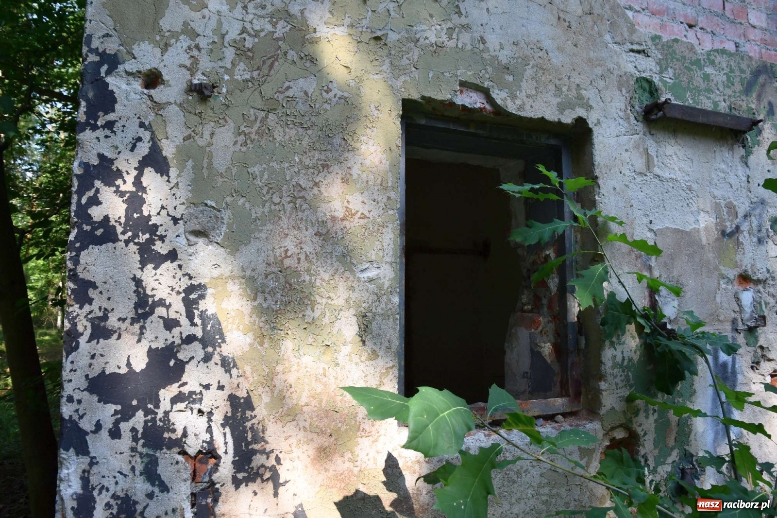 Zdjęcie w galerii na portalu naszraciborz.pl: Tajemnice zimnej wojny. Baza rakietowa w Kuźni Raciborskiej [FOTO i WIDEO] wiadomości z regionu