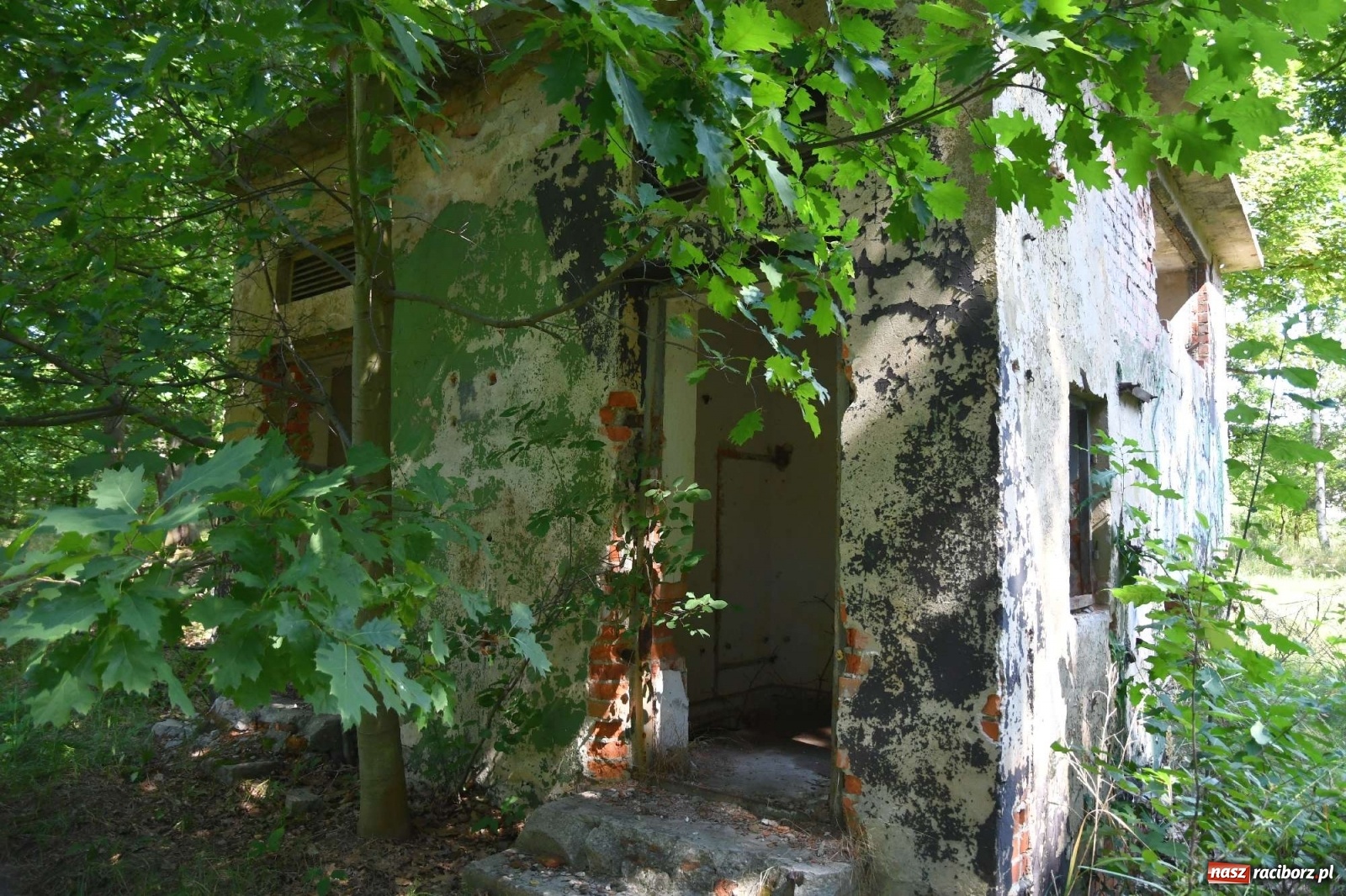 Zdjęcie w galerii na portalu naszraciborz.pl: Tajemnice zimnej wojny. Baza rakietowa w Kuźni Raciborskiej [FOTO i WIDEO] wiadomości z regionu