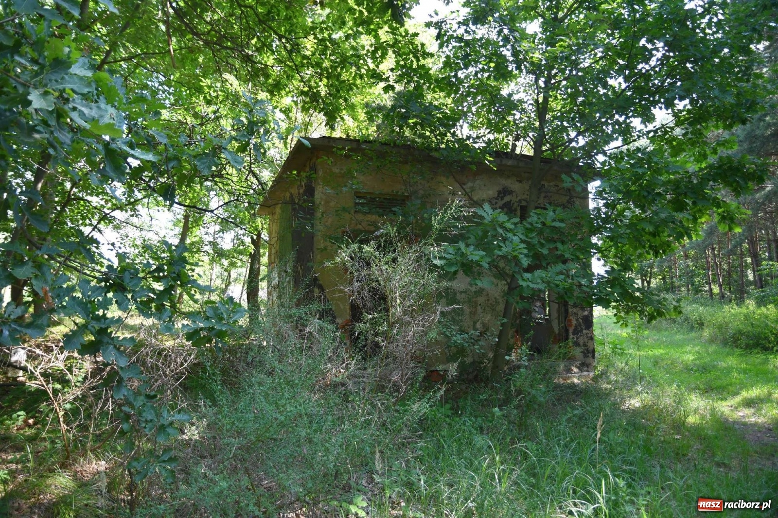 Zdjęcie w galerii na portalu naszraciborz.pl: Tajemnice zimnej wojny. Baza rakietowa w Kuźni Raciborskiej [FOTO i WIDEO] wiadomości z regionu