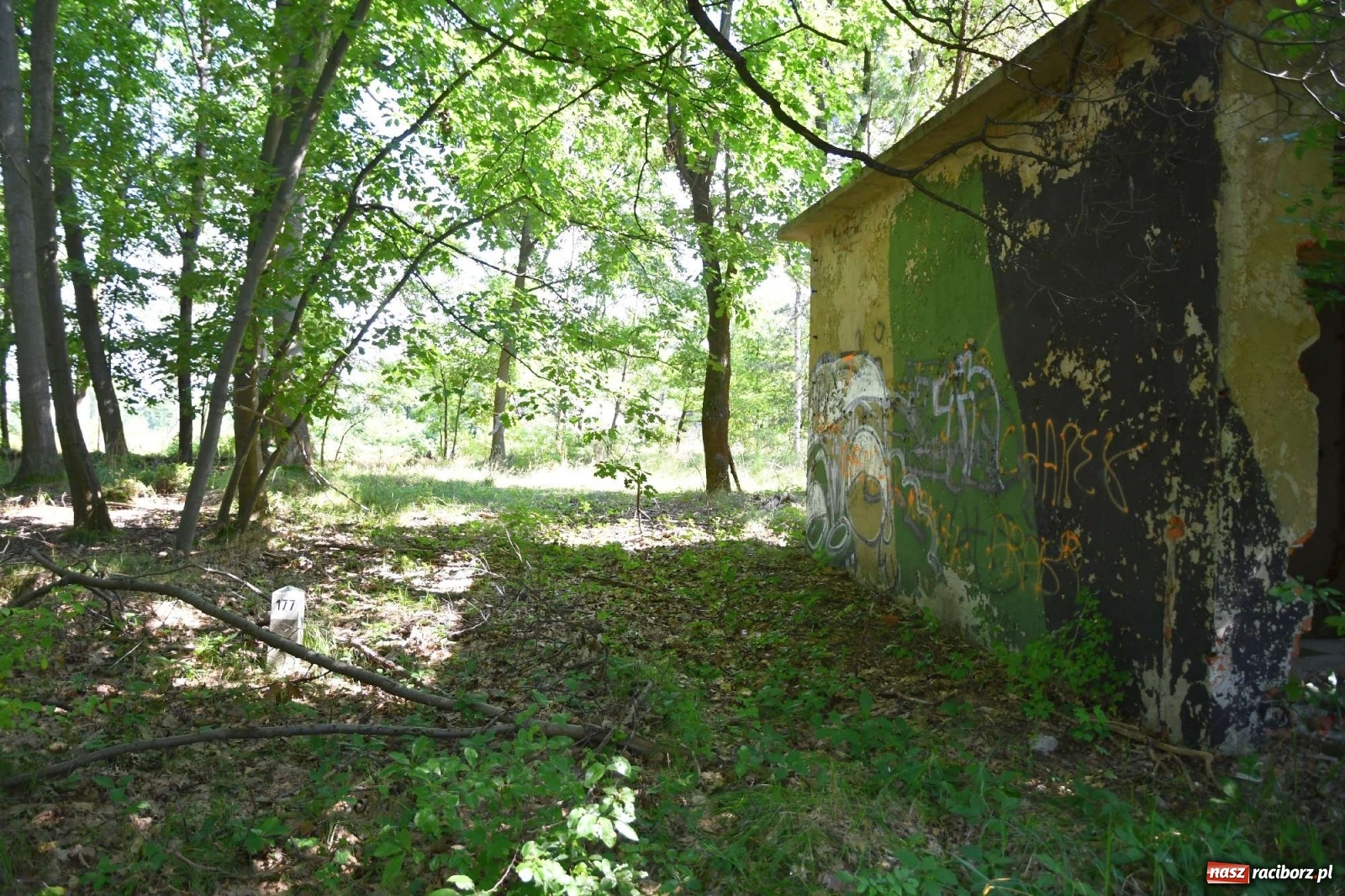 Zdjęcie w galerii na portalu naszraciborz.pl: Tajemnice zimnej wojny. Baza rakietowa w Kuźni Raciborskiej [FOTO i WIDEO] wiadomości z regionu