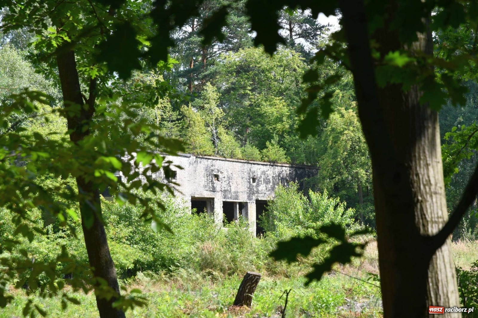 Zdjęcie w galerii na portalu naszraciborz.pl: Tajemnice zimnej wojny. Baza rakietowa w Kuźni Raciborskiej [FOTO i WIDEO] wiadomości z regionu