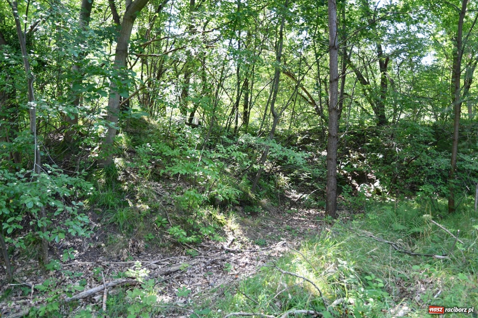 Zdjęcie w galerii na portalu naszraciborz.pl: Tajemnice zimnej wojny. Baza rakietowa w Kuźni Raciborskiej [FOTO i WIDEO] wiadomości z regionu