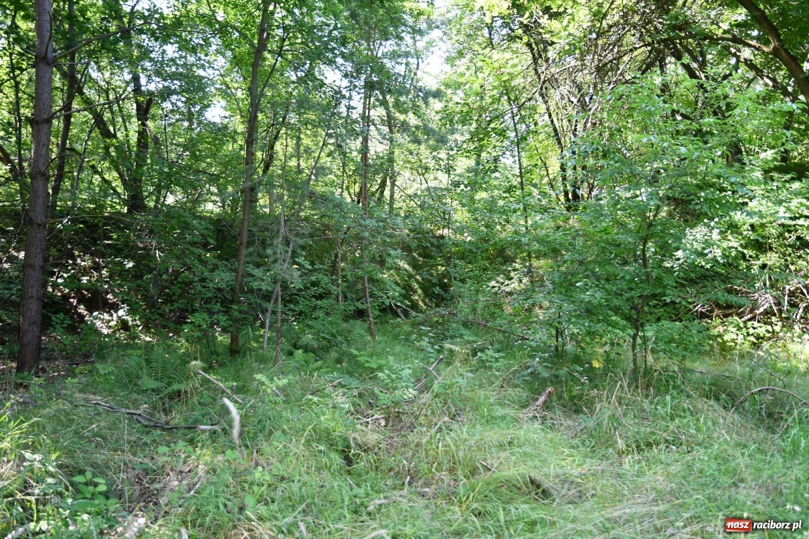 Zdjęcie w galerii na portalu naszraciborz.pl: Tajemnice zimnej wojny. Baza rakietowa w Kuźni Raciborskiej [FOTO i WIDEO] wiadomości z regionu