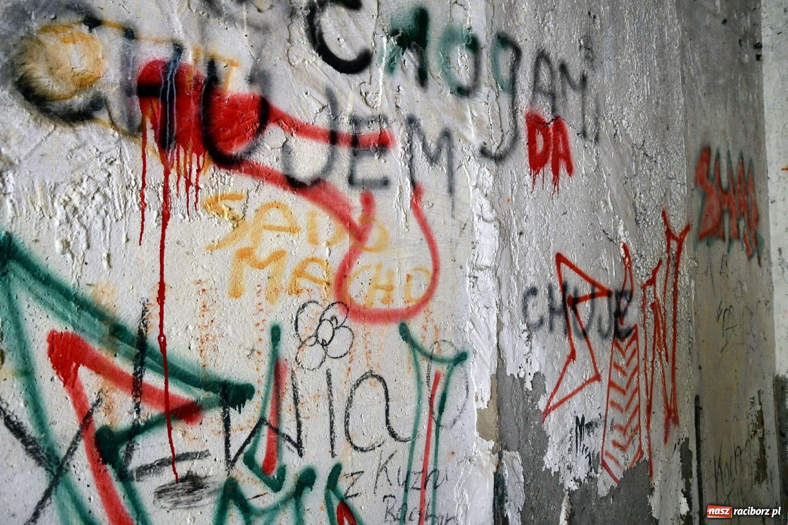 Zdjęcie w galerii na portalu naszraciborz.pl: Tajemnice zimnej wojny. Baza rakietowa w Kuźni Raciborskiej [FOTO i WIDEO] wiadomości z regionu