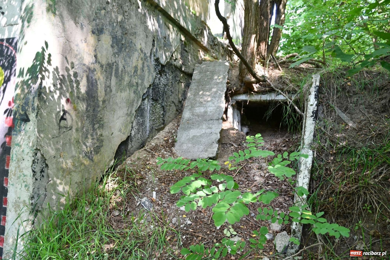 Zdjęcie w galerii na portalu naszraciborz.pl: Tajemnice zimnej wojny. Baza rakietowa w Kuźni Raciborskiej [FOTO i WIDEO] wiadomości z regionu