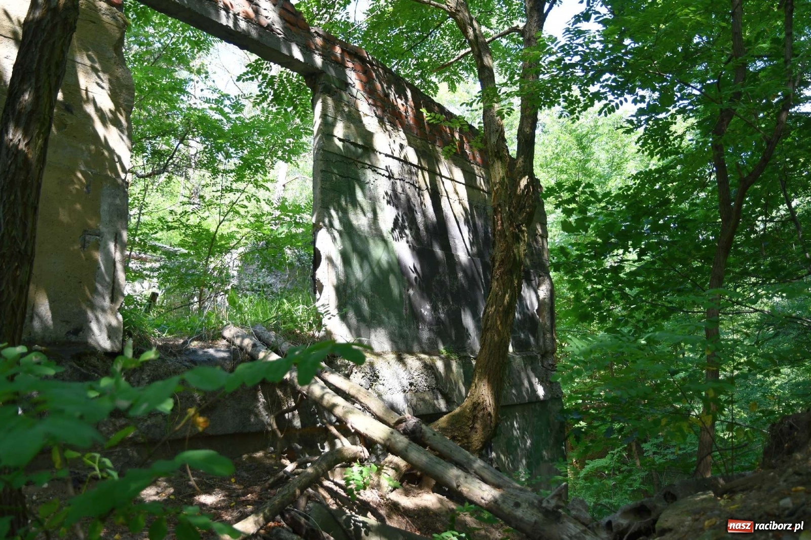 Zdjęcie w galerii na portalu naszraciborz.pl: Tajemnice zimnej wojny. Baza rakietowa w Kuźni Raciborskiej [FOTO i WIDEO] wiadomości z regionu