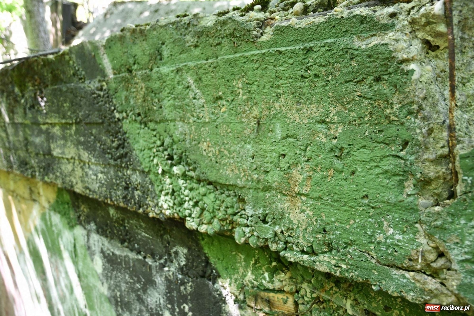 Zdjęcie w galerii na portalu naszraciborz.pl: Tajemnice zimnej wojny. Baza rakietowa w Kuźni Raciborskiej [FOTO i WIDEO] wiadomości z regionu