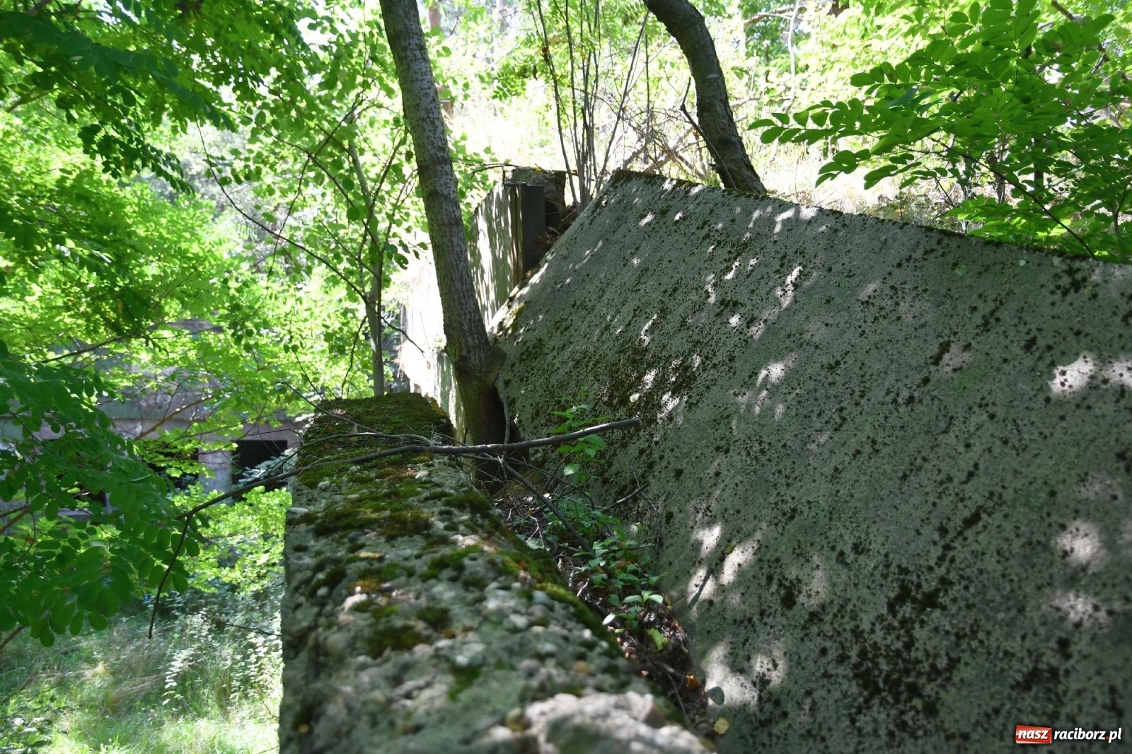 Zdjęcie w galerii na portalu naszraciborz.pl: Tajemnice zimnej wojny. Baza rakietowa w Kuźni Raciborskiej [FOTO i WIDEO] wiadomości z regionu