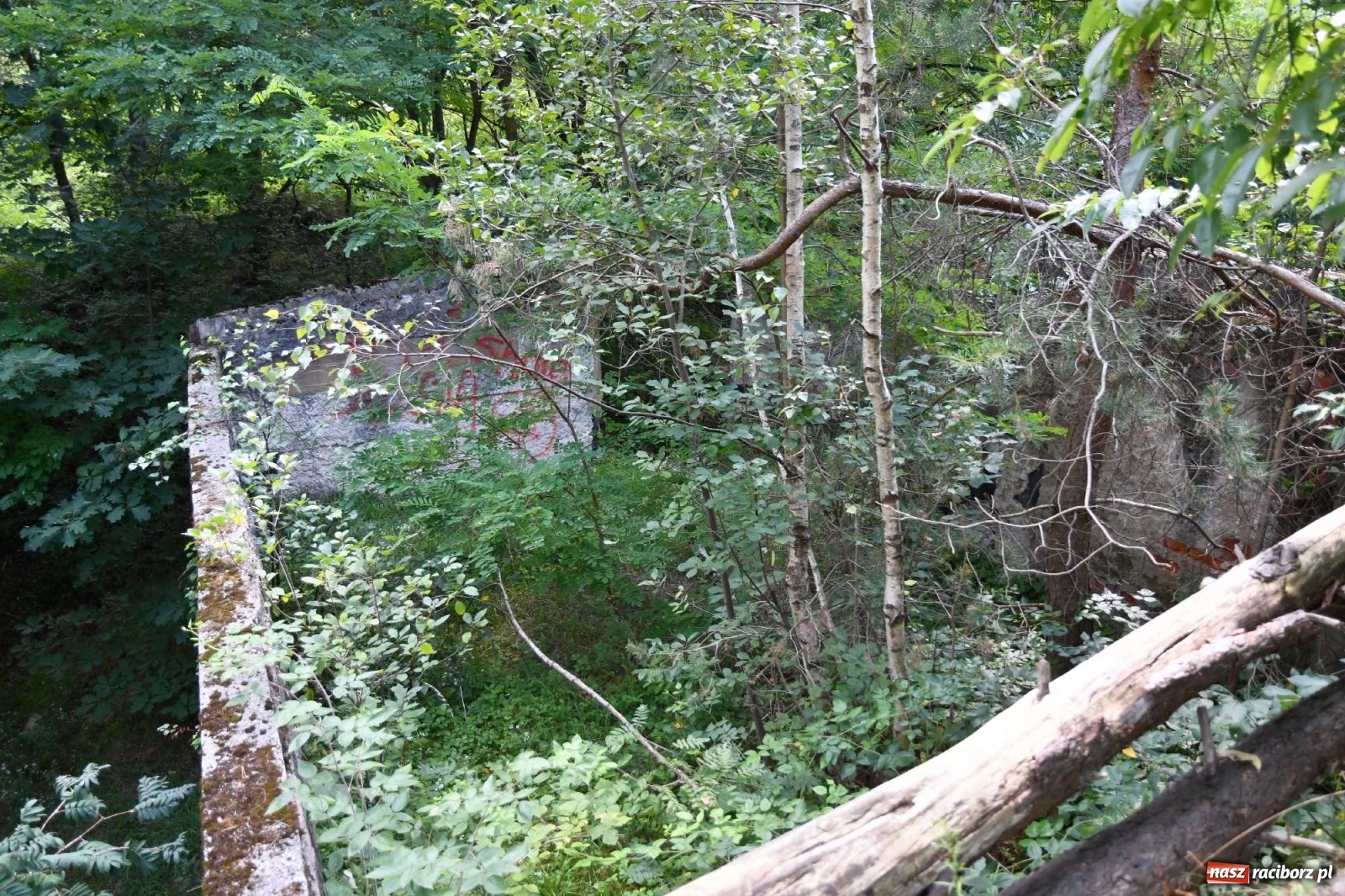 Zdjęcie w galerii na portalu naszraciborz.pl: Tajemnice zimnej wojny. Baza rakietowa w Kuźni Raciborskiej [FOTO i WIDEO] wiadomości z regionu