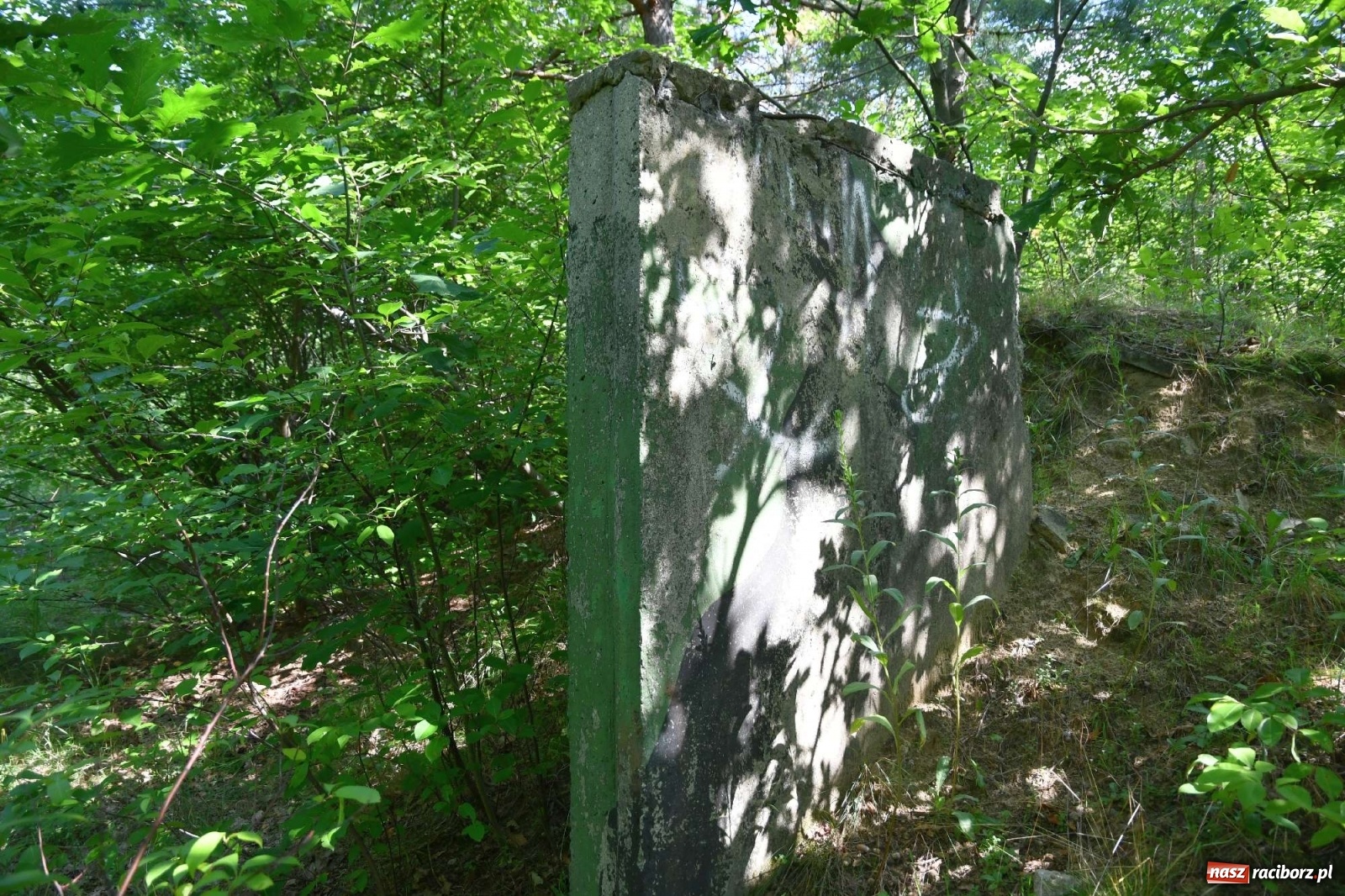 Zdjęcie w galerii na portalu naszraciborz.pl: Tajemnice zimnej wojny. Baza rakietowa w Kuźni Raciborskiej [FOTO i WIDEO] wiadomości z regionu