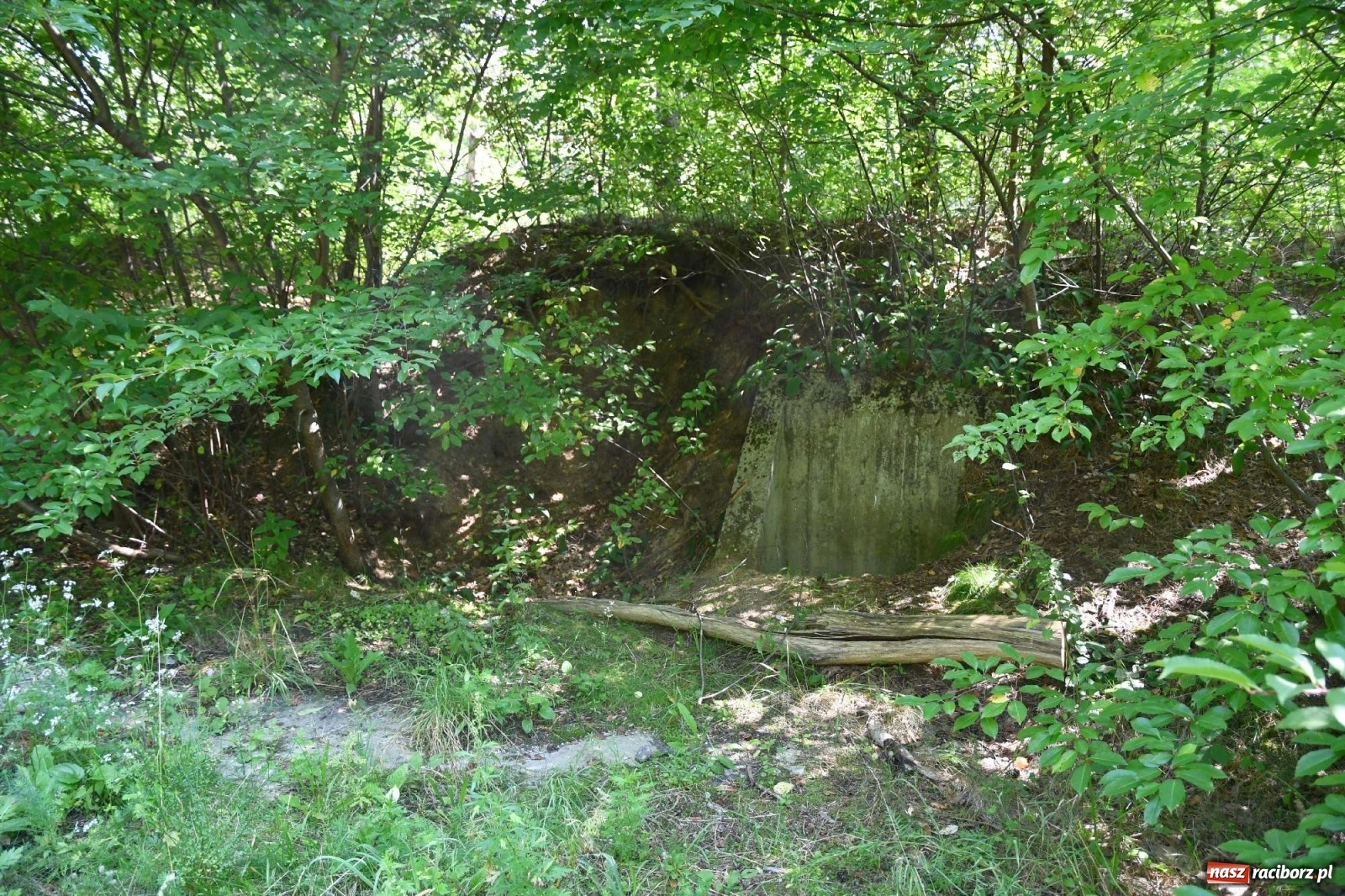 Zdjęcie w galerii na portalu naszraciborz.pl: Tajemnice zimnej wojny. Baza rakietowa w Kuźni Raciborskiej [FOTO i WIDEO] wiadomości z regionu