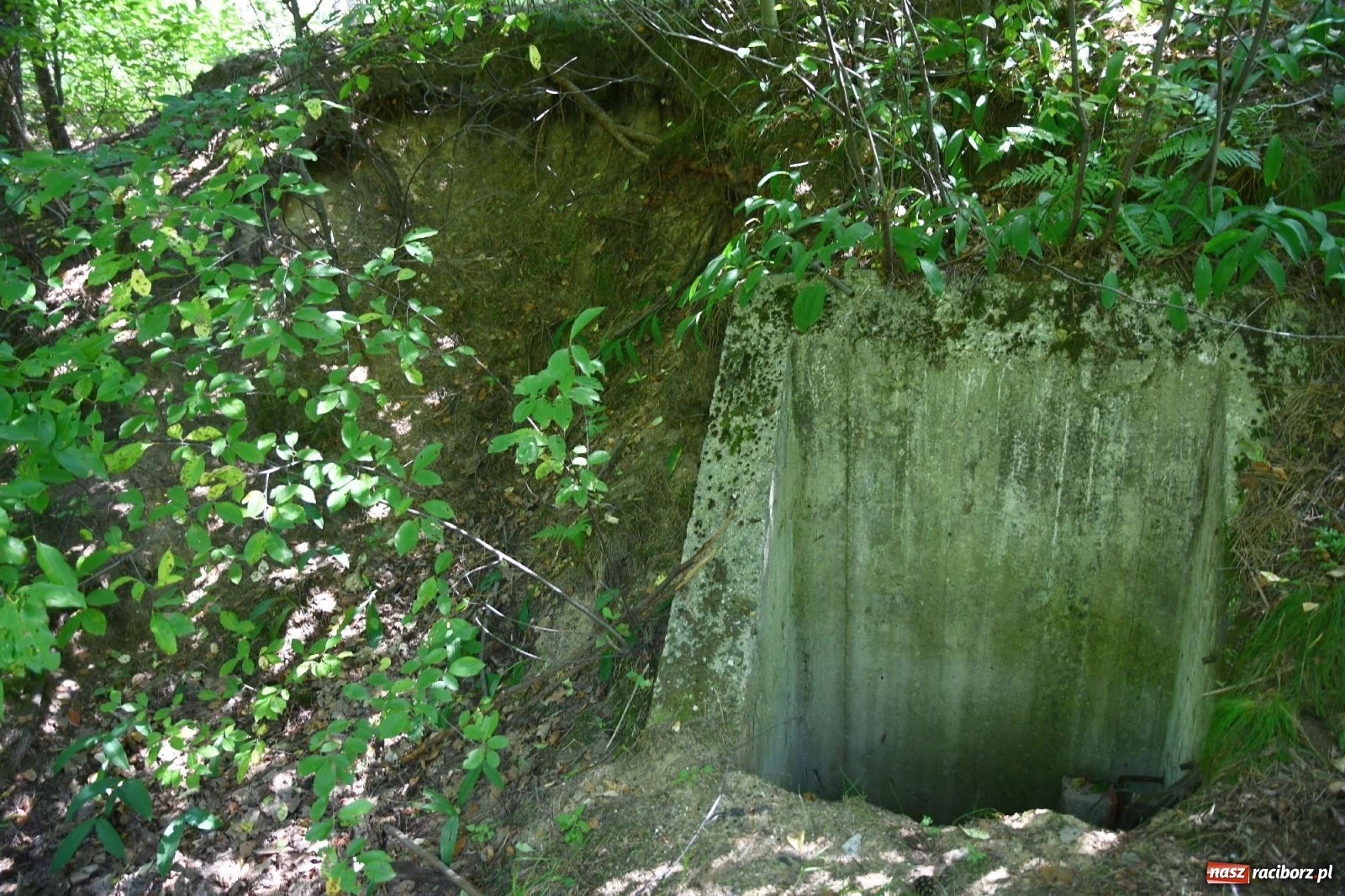 Zdjęcie w galerii na portalu naszraciborz.pl: Tajemnice zimnej wojny. Baza rakietowa w Kuźni Raciborskiej [FOTO i WIDEO] wiadomości z regionu