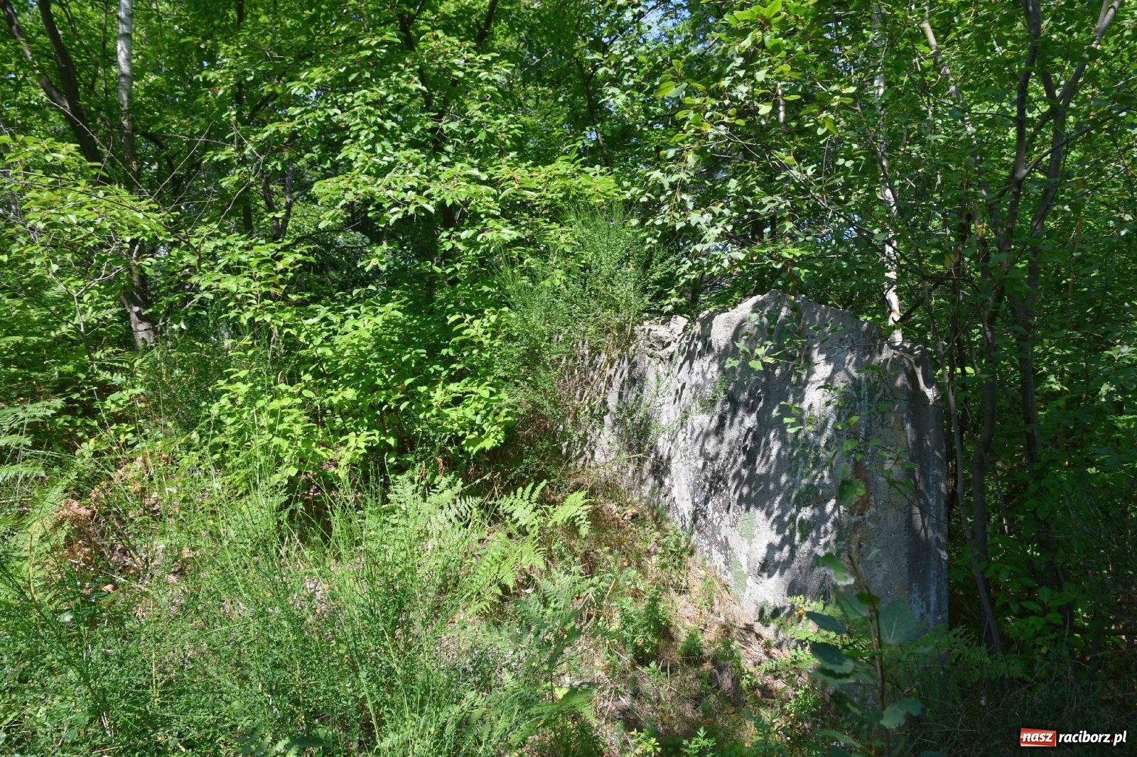 Zdjęcie w galerii na portalu naszraciborz.pl: Tajemnice zimnej wojny. Baza rakietowa w Kuźni Raciborskiej [FOTO i WIDEO] wiadomości z regionu