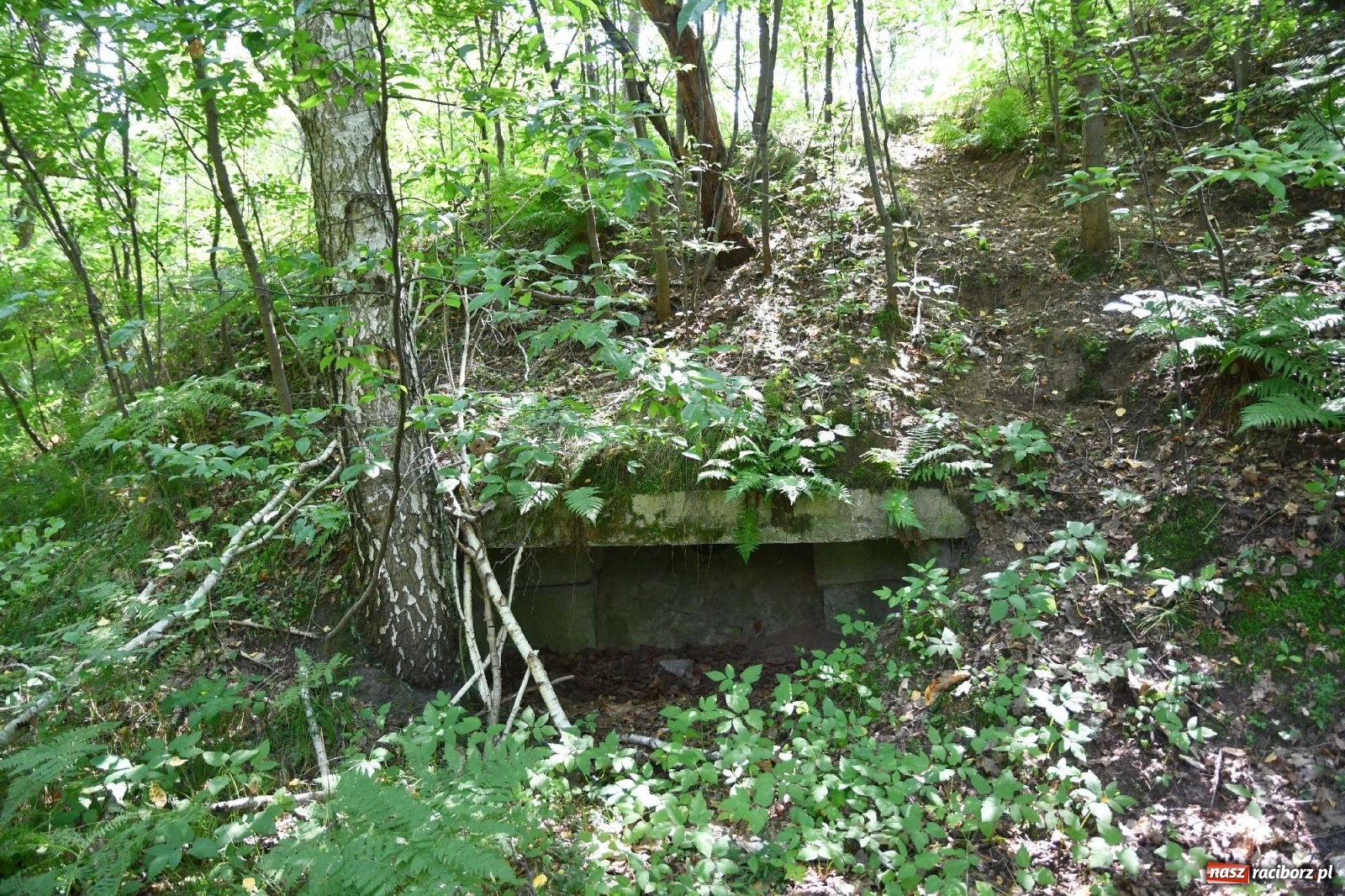 Zdjęcie w galerii na portalu naszraciborz.pl: Tajemnice zimnej wojny. Baza rakietowa w Kuźni Raciborskiej [FOTO i WIDEO] wiadomości z regionu