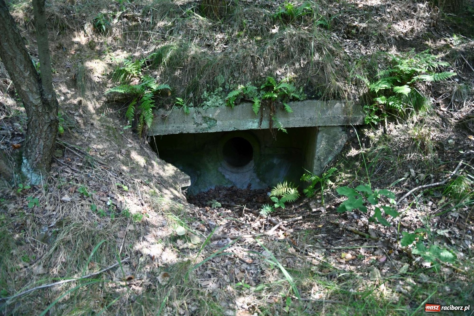 Zdjęcie w galerii na portalu naszraciborz.pl: Tajemnice zimnej wojny. Baza rakietowa w Kuźni Raciborskiej [FOTO i WIDEO] wiadomości z regionu