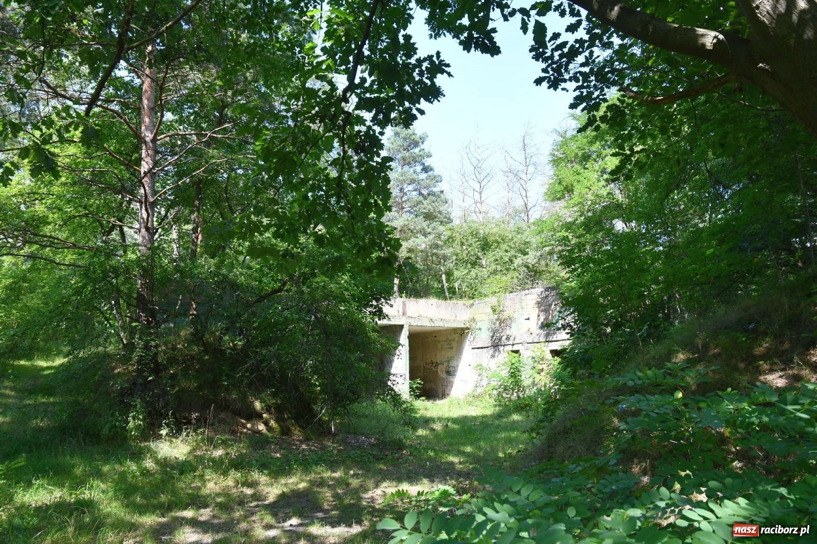 Zdjęcie w galerii na portalu naszraciborz.pl: Tajemnice zimnej wojny. Baza rakietowa w Kuźni Raciborskiej [FOTO i WIDEO] wiadomości z regionu