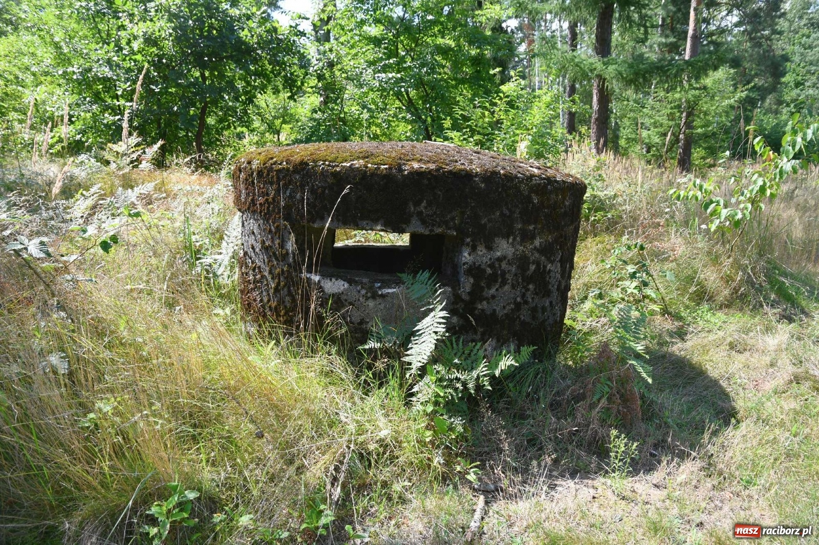 Zdjęcie w galerii na portalu naszraciborz.pl: Tajemnice zimnej wojny. Baza rakietowa w Kuźni Raciborskiej [FOTO i WIDEO] wiadomości z regionu