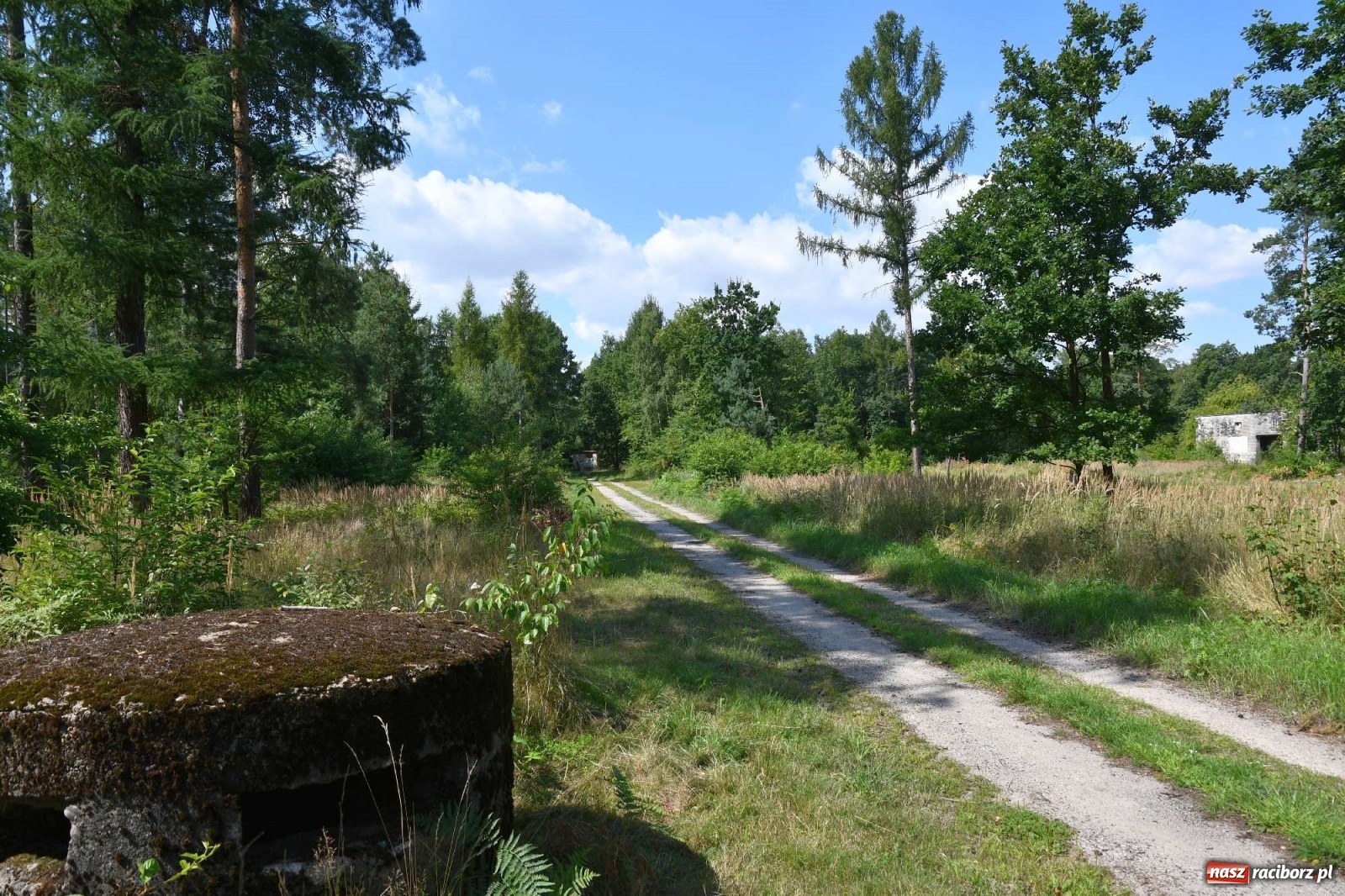 Zdjęcie w galerii na portalu naszraciborz.pl: Tajemnice zimnej wojny. Baza rakietowa w Kuźni Raciborskiej [FOTO i WIDEO] wiadomości z regionu