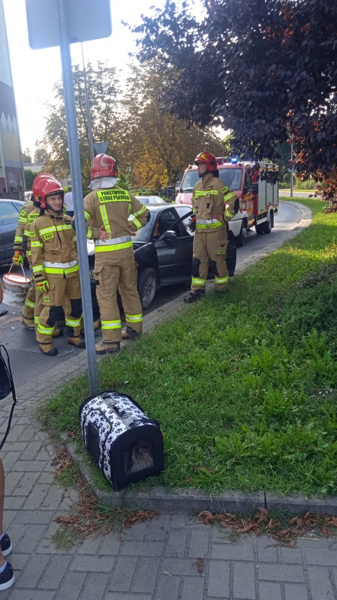 Zdjęcie w galerii na portalu naszraciborz.pl: Raport 998. Audi wjechało w tył peugeota wiadomości z regionu