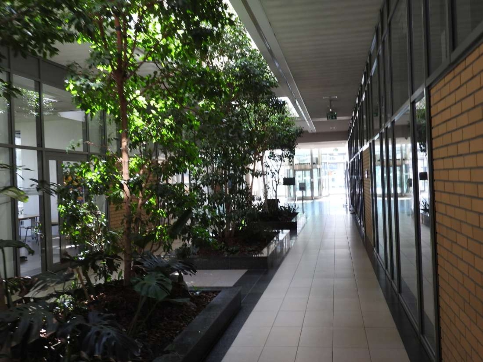 Zdjęcie w galerii na portalu naszraciborz.pl: Z Łubowic do Krakowa. Młodzież nagrodzona za pracę wiadomości z regionu