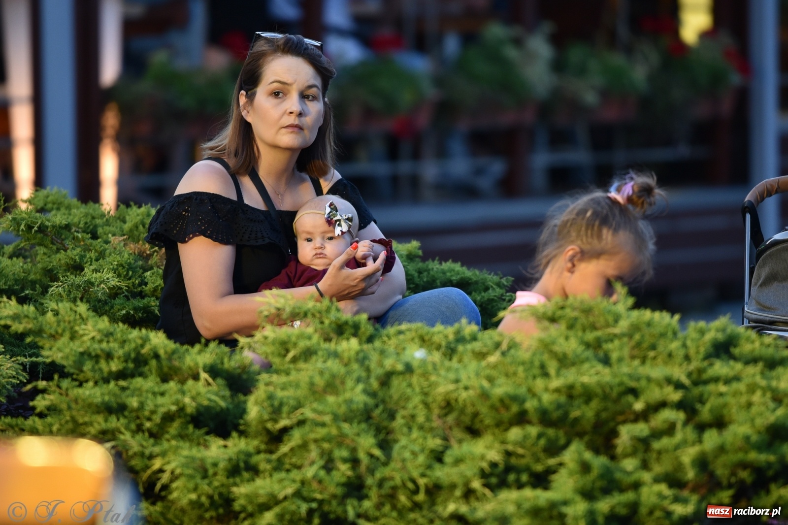Zdjęcie w galerii na portalu naszraciborz.pl: Odważnych nie brakuje. Raciborzanie śpiewają wiadomości z regionu