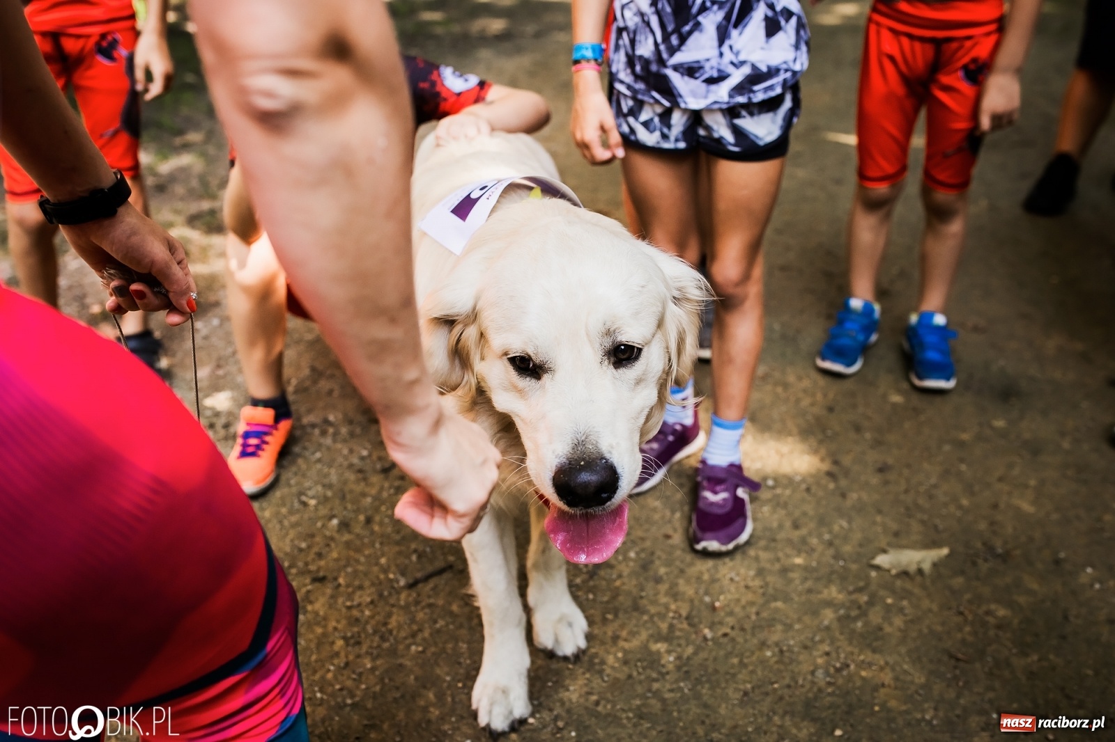 Zdjęcie w galerii na portalu naszraciborz.pl: Raciborski Bieg Tropem Wilczym na Święto Wojska Polskiego [FOTO i WIDEO] wiadomości z regionu