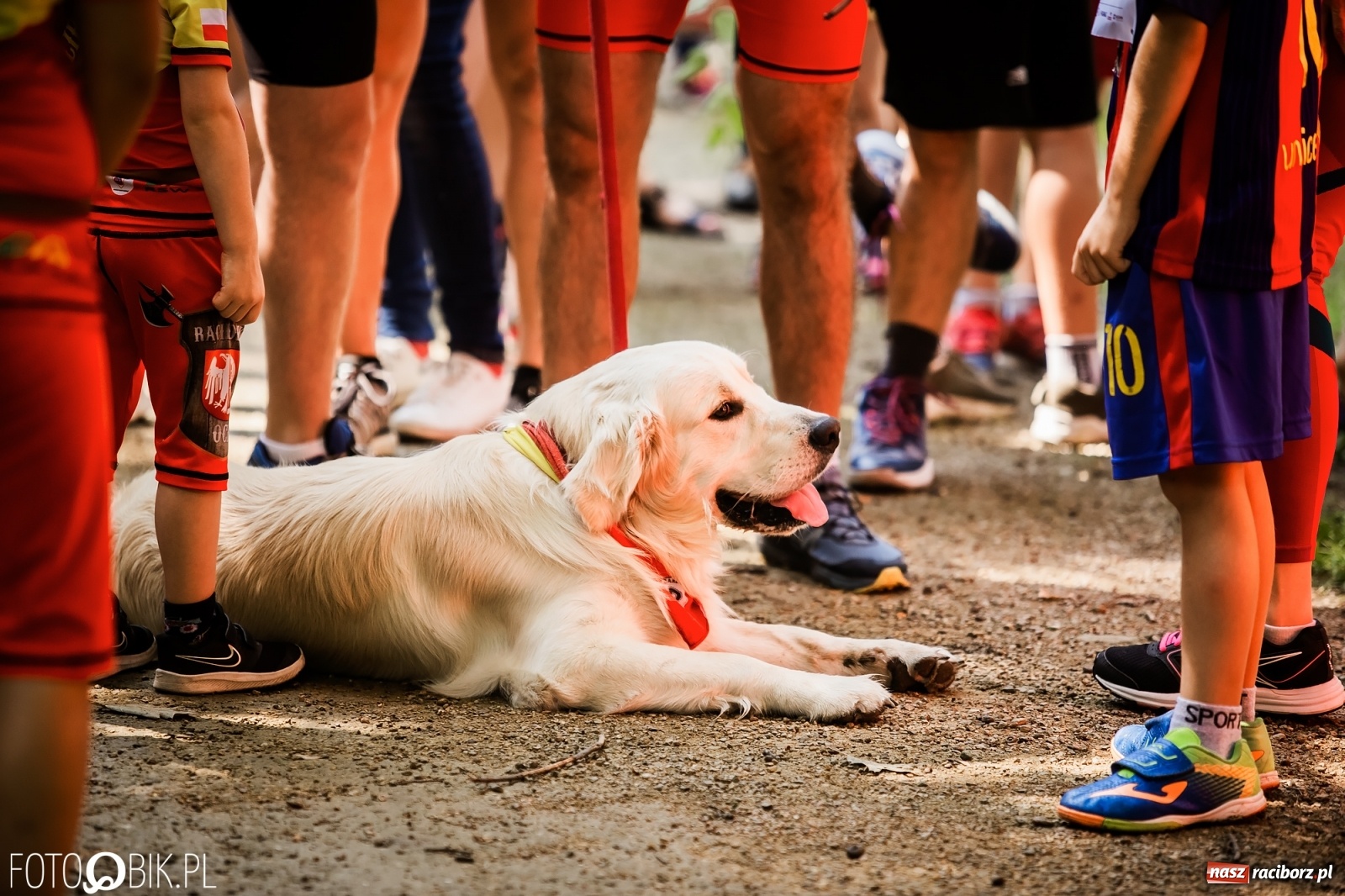 Zdjęcie w galerii na portalu naszraciborz.pl: Raciborski Bieg Tropem Wilczym na Święto Wojska Polskiego [FOTO i WIDEO] wiadomości z regionu