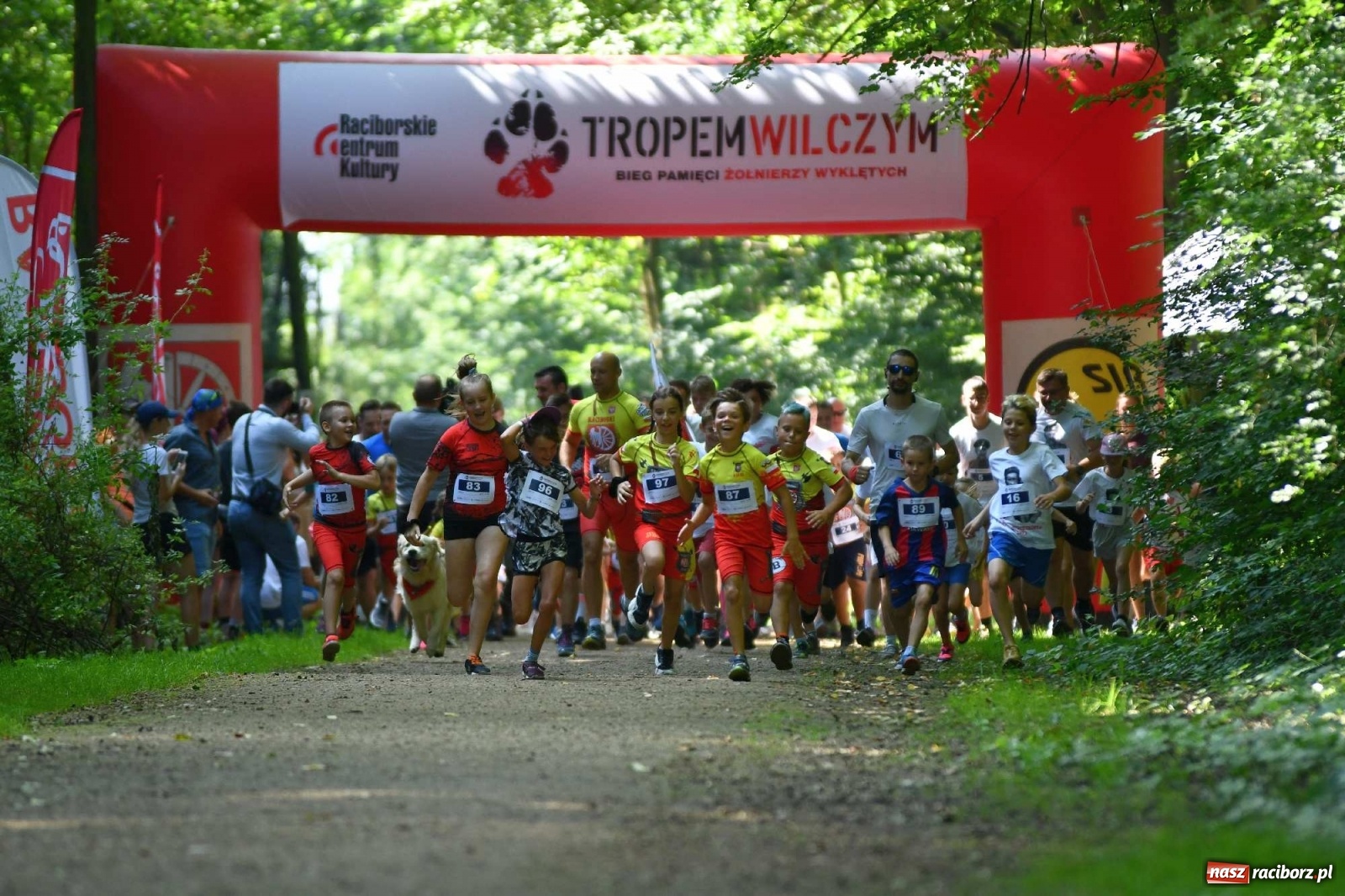 Zdjęcie w galerii na portalu naszraciborz.pl: Raciborski Bieg Tropem Wilczym na Święto Wojska Polskiego [FOTO i WIDEO] wiadomości z regionu