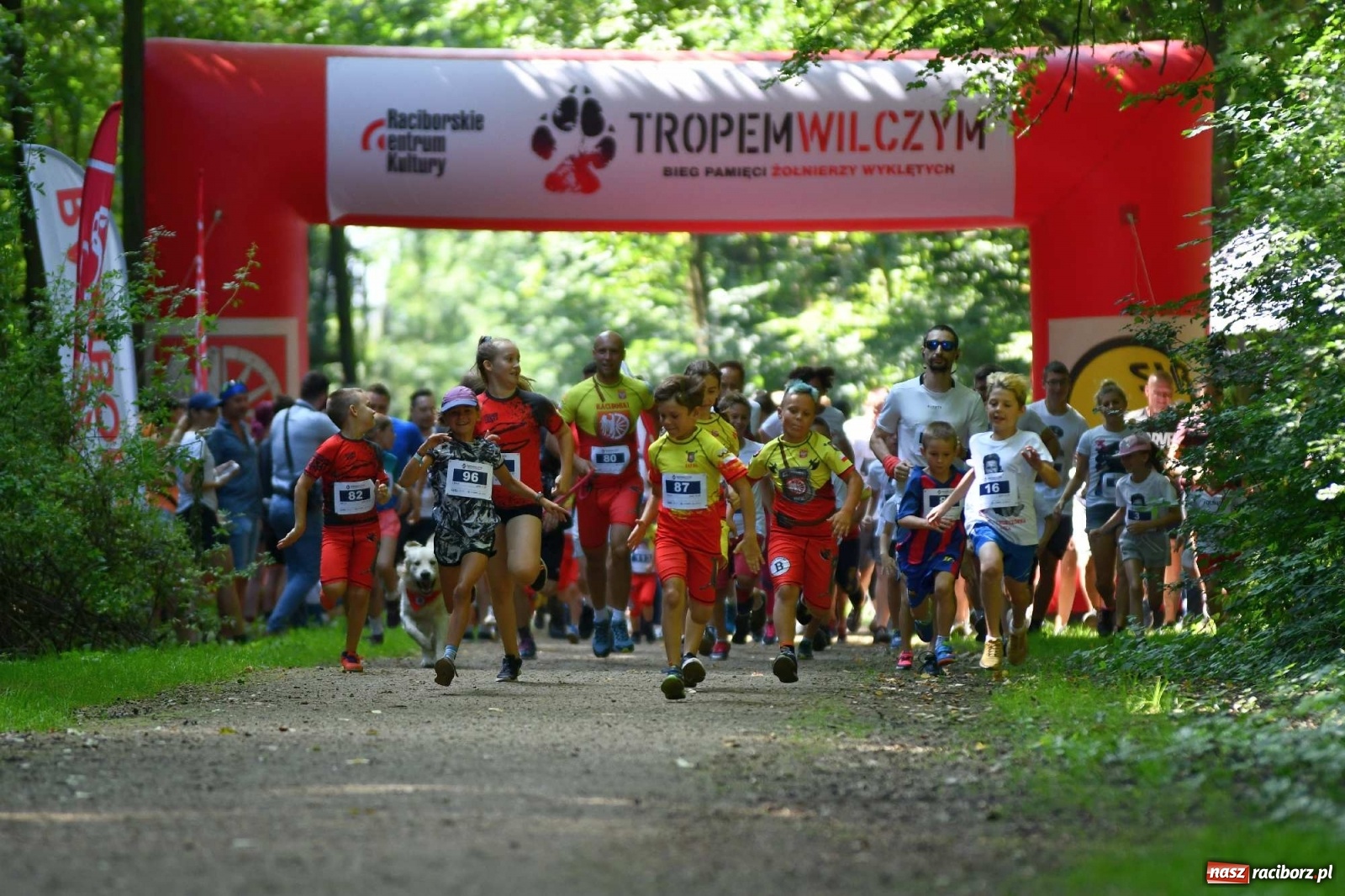Zdjęcie w galerii na portalu naszraciborz.pl: Raciborski Bieg Tropem Wilczym na Święto Wojska Polskiego [FOTO i WIDEO] wiadomości z regionu