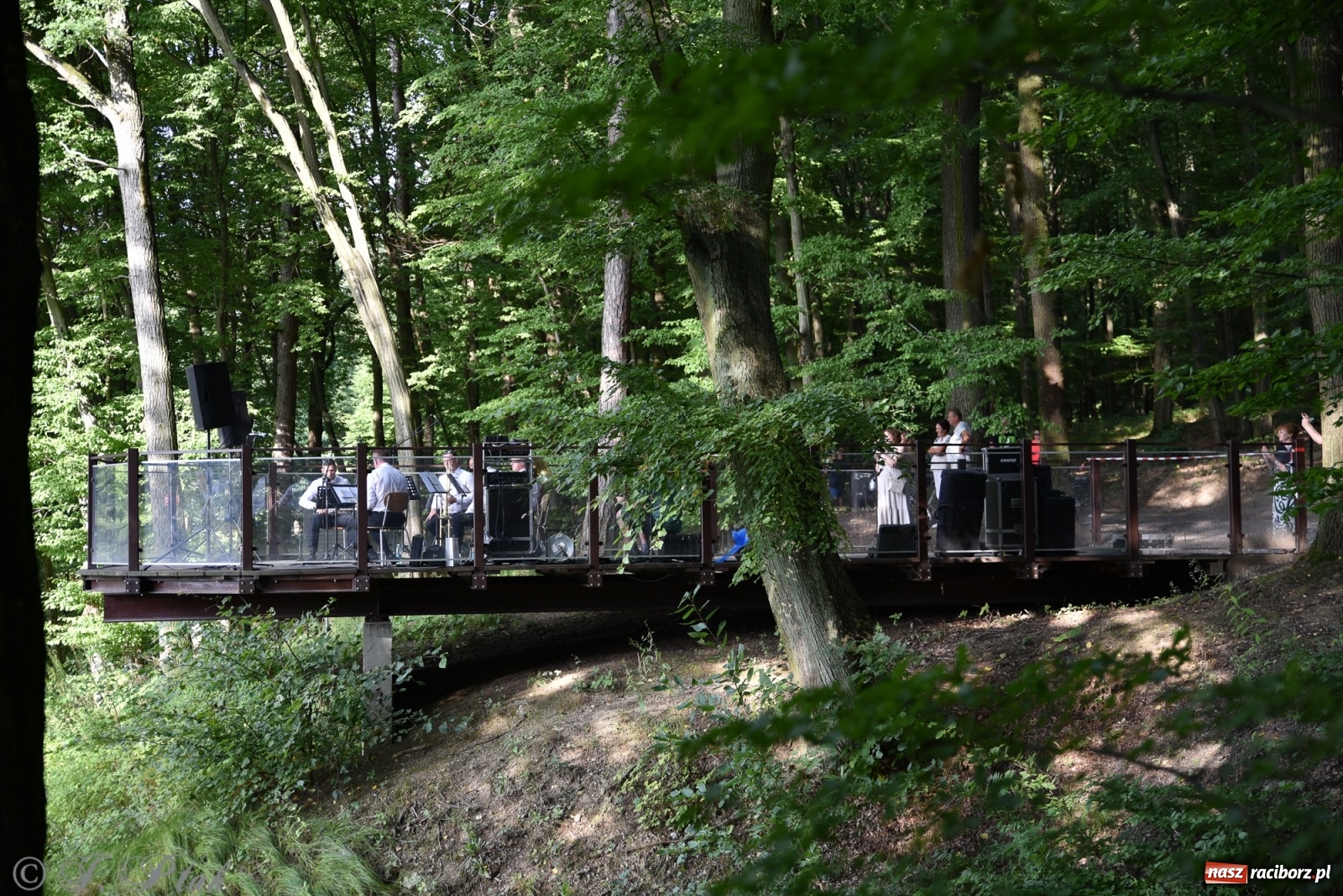 Zdjęcie w galerii na portalu naszraciborz.pl: Polskie melodie wypełniły Zaczarowany ogród wiadomości z regionu