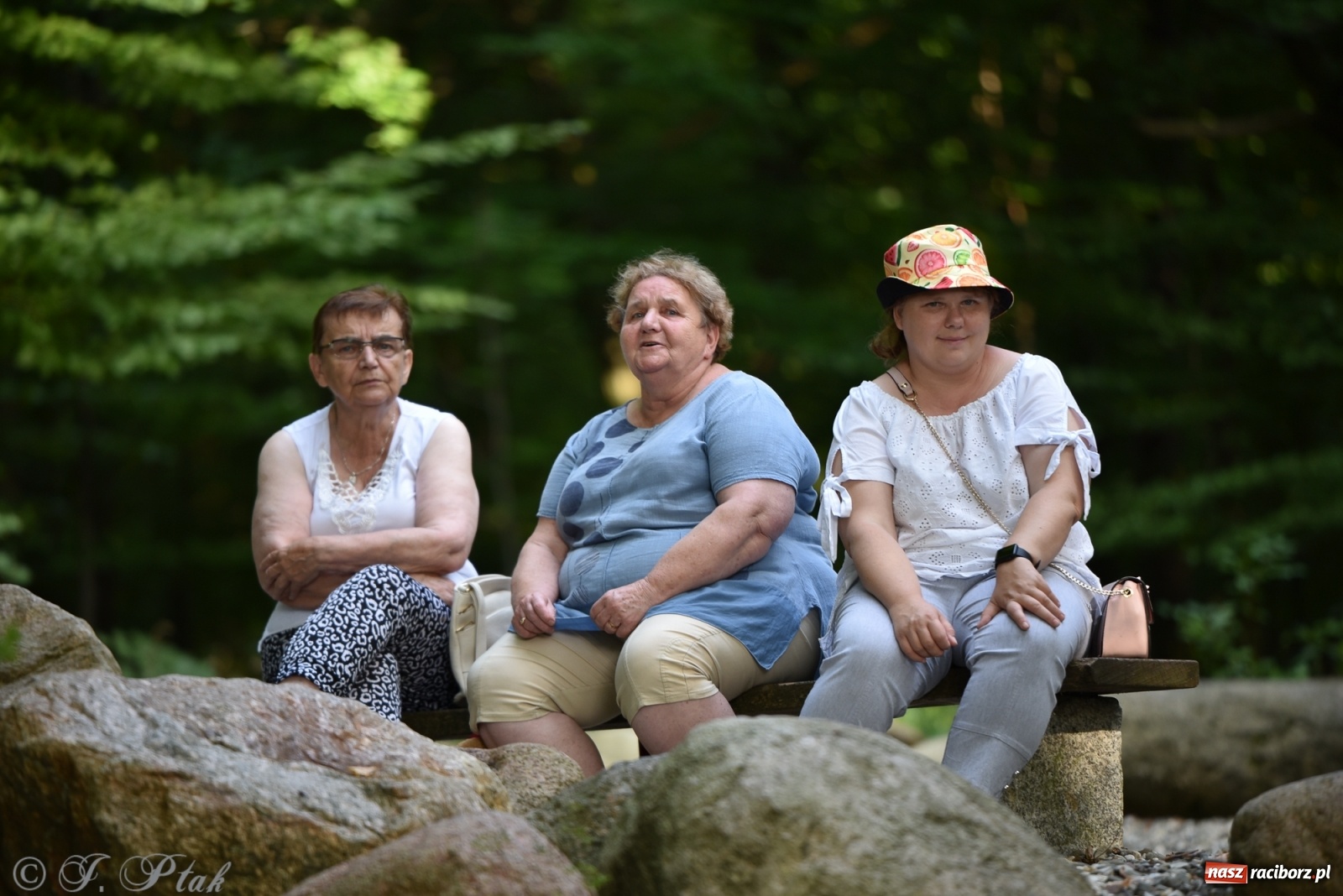 Zdjęcie w galerii na portalu naszraciborz.pl: Polskie melodie wypełniły Zaczarowany ogród wiadomości z regionu